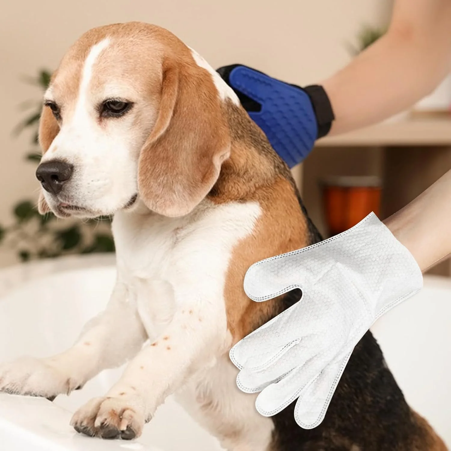 Pet Glove Wipes for Dogs - Outdoor Shedding Wipes | No Rinse Portable Cleaning Glove for Car Puppies Camping Kittens Walking Outdoor Bunnies Home Pet Glove Wipes for Dogs - Outdoor Shedding Wipes | No Rinse Portable Cleaning Glove for Car Puppies Camping Kittens Walking Outdoor Bunnies Home