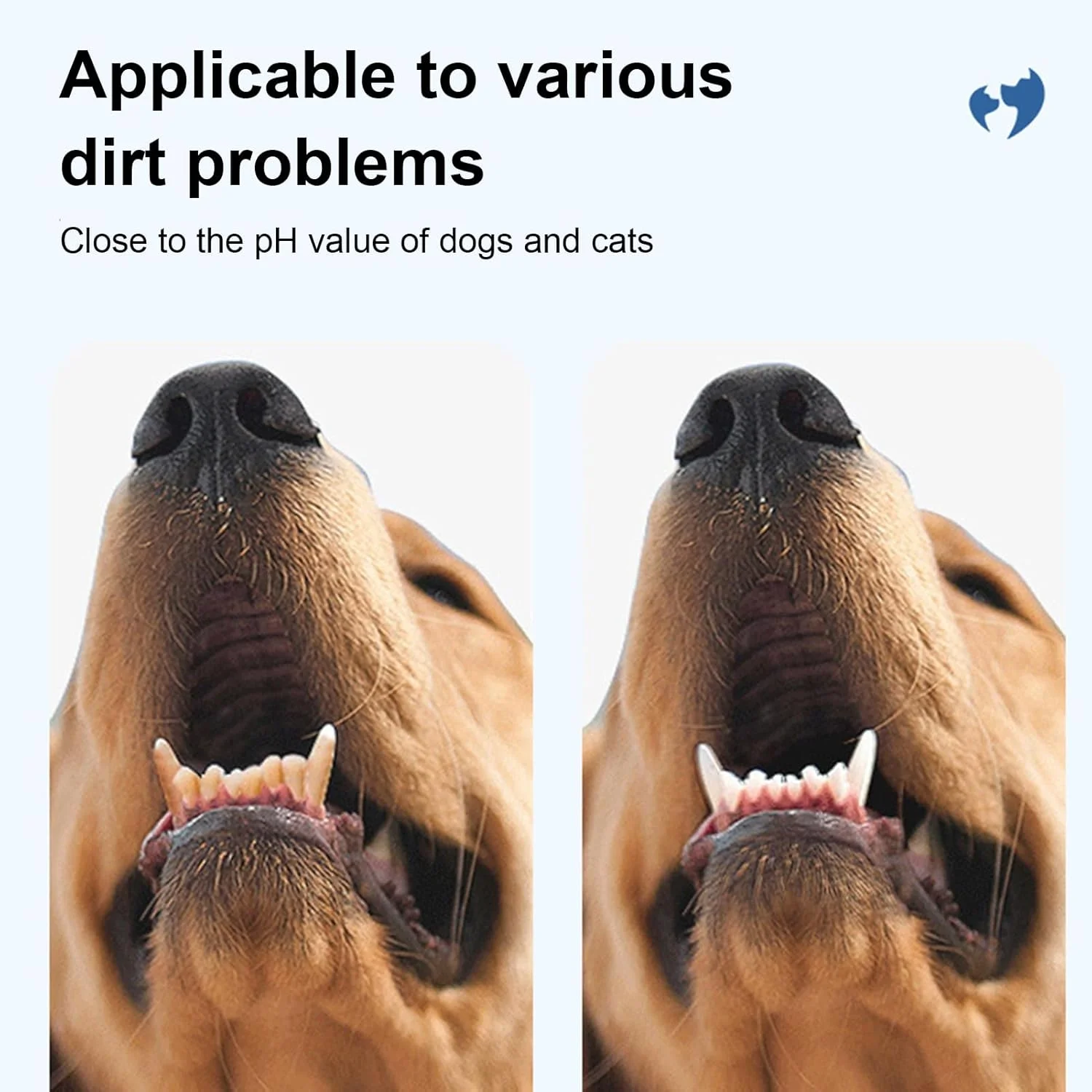 دستمال مرطوب انگشتی تمیز کننده گوش حیوانات خانگی | دستمال مرطوب ملایم و ایمن برای تمیز کردن گوش سگ و گربه، لوازم و وسایل جانبی پاک کننده ملایم و ایمن برای نظافت و حمام کردن بچه گربه، توله سگ، گربه و حیوانات خانگی در خانه دستمال مرطوب انگشتی تمیز کننده گوش حیوانات خانگی | دستمال مرطوب ملایم و ایمن برای تمیز کردن گوش سگ و گربه، لوازم و وسایل جانبی پاک کننده ملایم و ایمن برای نظافت و حمام کردن بچه گربه، توله سگ، گربه و حیوانات خانگی در خانه