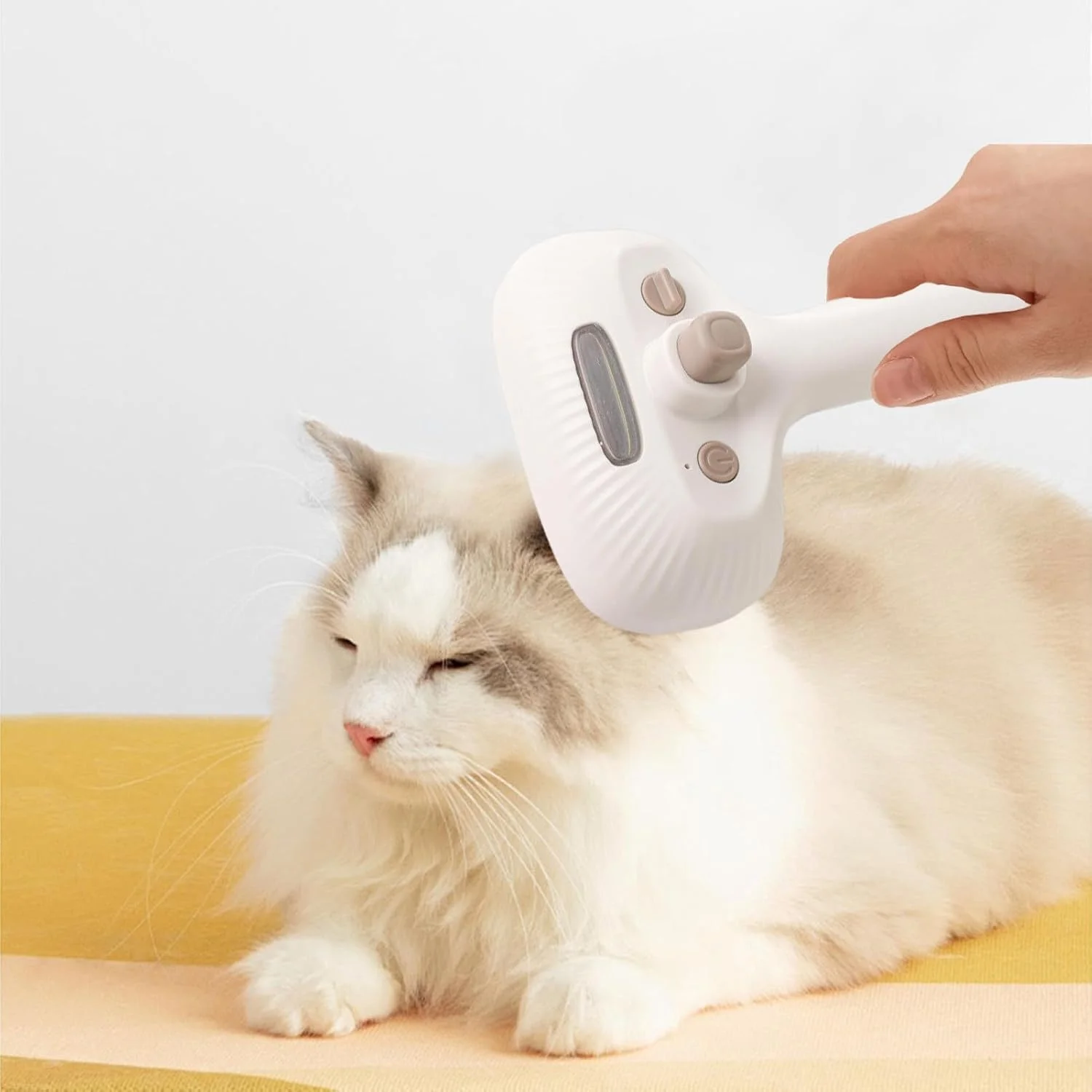 برس آب پاش گربه، برس مه پاش گربه - شانه ابزار تمیز کننده ضد الکتریسیته ساکن حیوانات خانگی کاهش ریزش مو نظافت روزانه استفاده در حمام در سالن خانه اسپا آماده سازی نمایش