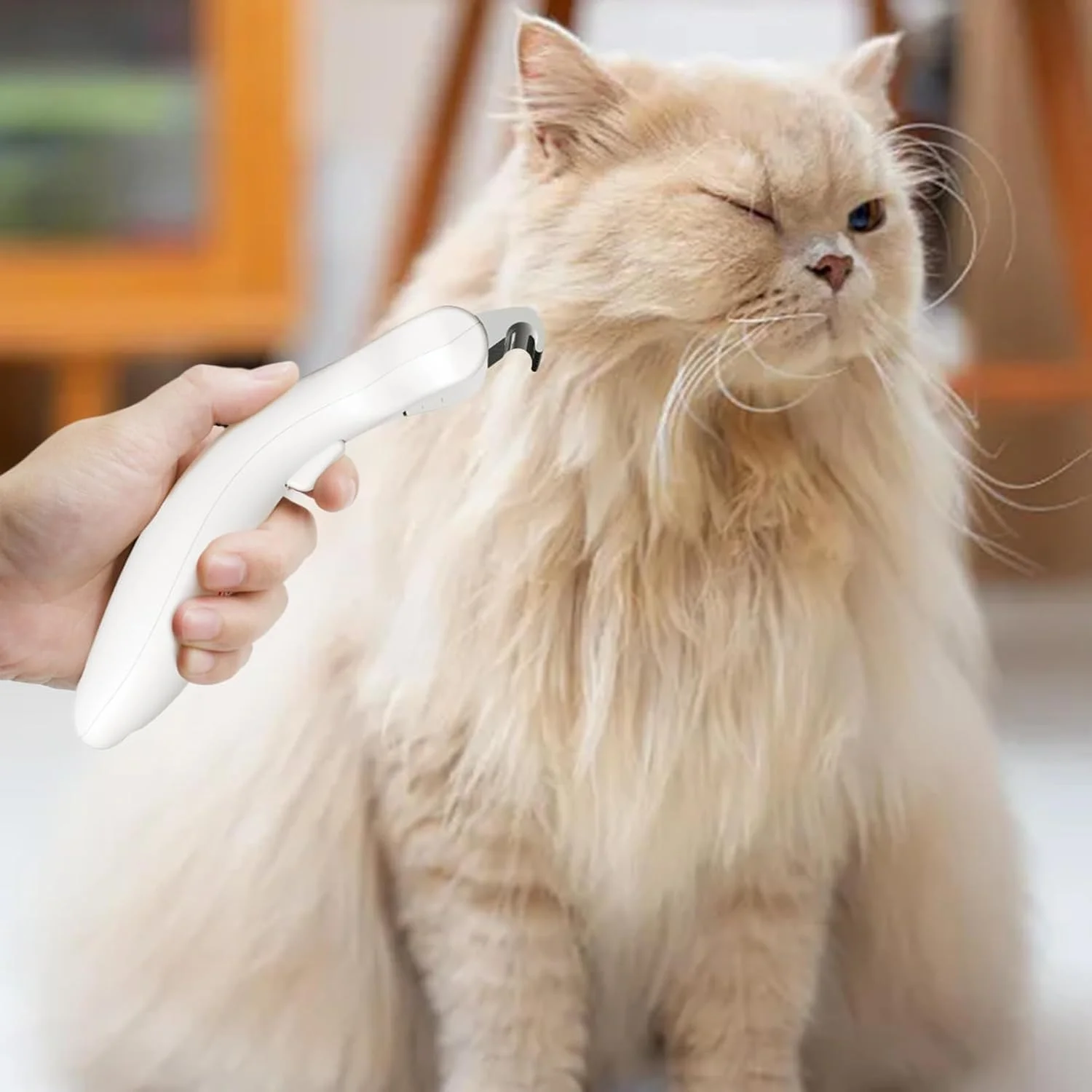 برس ریزش مو سگ - شانه خود تمیز شونده استیل - شانه ریزش مو و حذف مو - برای تمیز کردن، مسافرت، نظافت در فضای باز و داخلی، نظافت منزل، حمام کردن، استفاده روزانه برای توله سگ و بچه گربه برس ریزش مو سگ - شانه خود تمیز شونده استیل - شانه ریزش مو و حذف مو - برای تمیز کردن، مسافرت، نظافت در فضای باز و داخلی، نظافت منزل، حمام کردن، استفاده روزانه برای توله سگ و بچه گربه