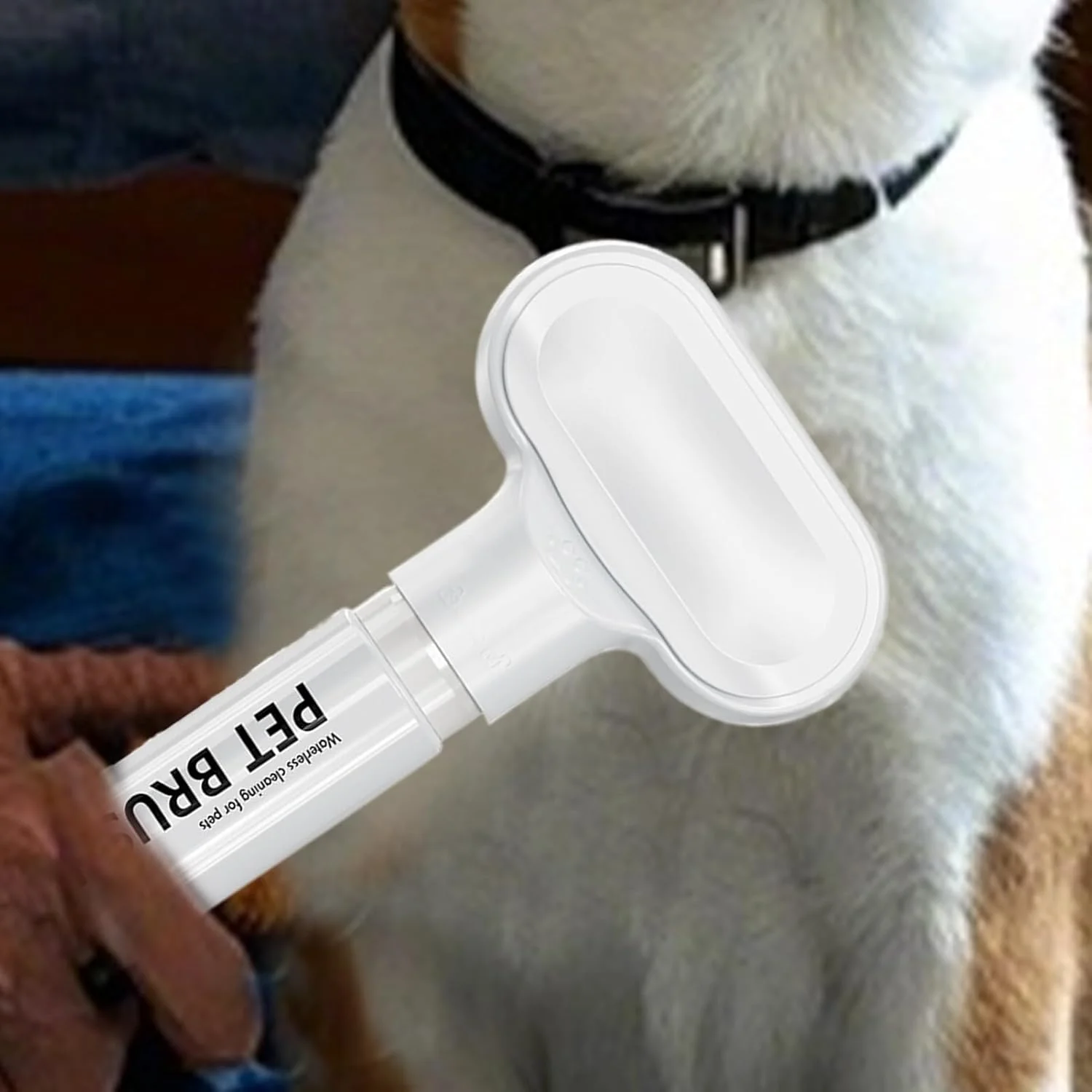 برس شامپو سگ | با پخش کننده صابون و ماساژ، اسکرابر سگ برای حمام | برای توله سگ، گربه، بچه گربه، خرگوش، مو کوتاه، مو بلند، تمیز کردن، نظافت، دوش، استفاده خانگی برس شامپو سگ | با پخش کننده صابون و ماساژ، اسکرابر سگ برای حمام | برای توله سگ، گربه، بچه گربه، خرگوش، مو کوتاه، مو بلند، تمیز کردن، نظافت، دوش، استفاده خانگی