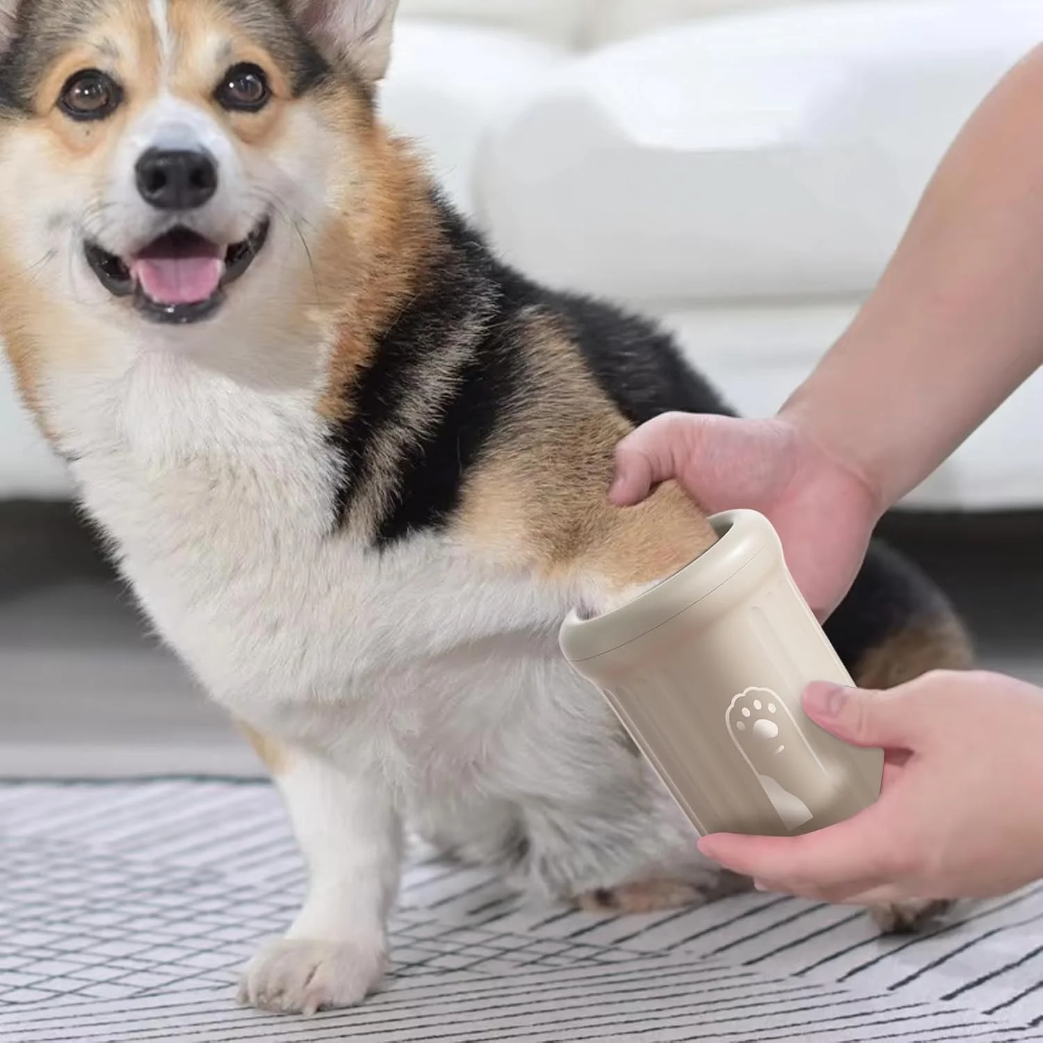 فنجان تمیز کننده پای سگ - فنجان شستشوی قابل حمل برای پاهای گلی | فنجان شستشوی پنجه قابل حمل برای حیوانات خانگی، بچه گربه ها، توله سگ ها، گربه ها، مسافرت، سفرهای جاده ای، کمپینگ، دوش داخلی فنجان تمیز کننده پای سگ - فنجان شستشوی قابل حمل برای پاهای گلی | فنجان شستشوی پنجه قابل حمل برای حیوانات خانگی، بچه گربه ها، توله سگ ها، گربه ها، مسافرت، سفرهای جاده ای، کمپینگ، دوش داخلی