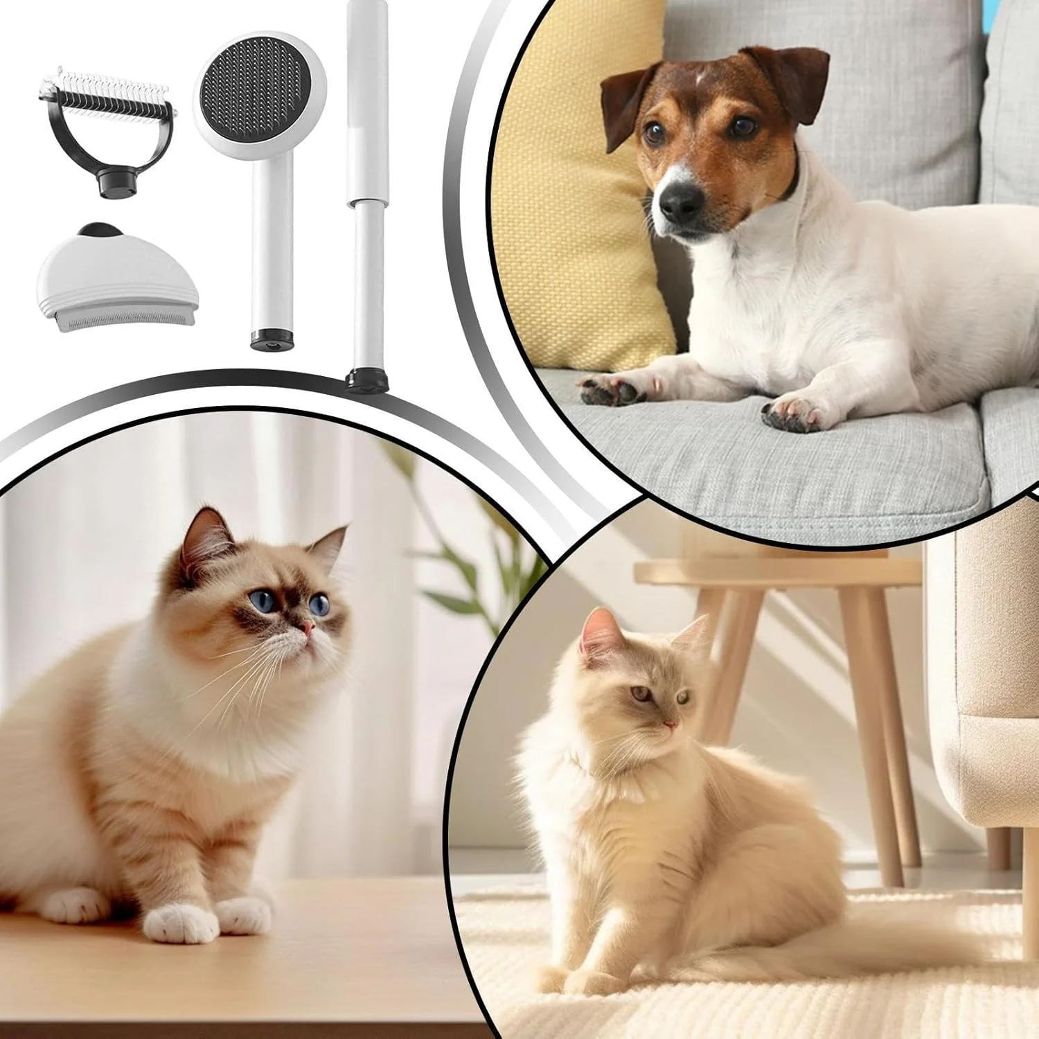 برس ریزش مو سگ | ست شانه گره باز کن 4 در 1 حیوانات خانگی - شانه گره باز کن بچه گربه، برای ریزش مو، حمام کردن، ماساژ سگ ها گربه ها منزل سالن داخل سالن فضای باز برس ریزش مو سگ | ست شانه گره باز کن 4 در 1 حیوانات خانگی - شانه گره باز کن بچه گربه، برای ریزش مو، حمام کردن، ماساژ سگ ها گربه ها منزل سالن داخل سالن فضای باز