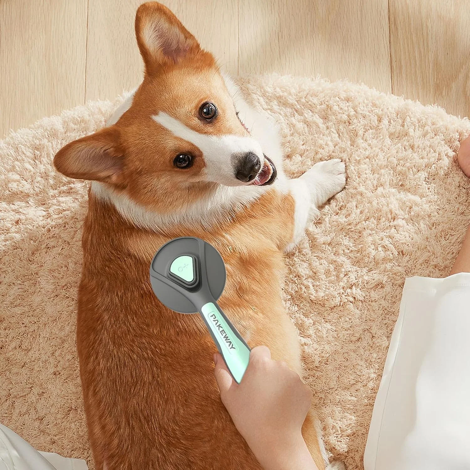 برس نظافت سگ، برس نظافت کننده سازگار با پوست - برس تمیز کننده و ریزش موی توله سگ، برای موهای کوتاه و بلند، استفاده روزانه در منزل، مسافرت، داخل خانه، مناسب برای توله سگ، خرگوش، اسب، نژادهای کوچک، متوسط و بزرگ برس نظافت سگ، برس نظافت کننده سازگار با پوست - برس تمیز کننده و ریزش موی توله سگ، برای موهای کوتاه و بلند، استفاده روزانه در منزل، مسافرت، داخل خانه، مناسب برای توله سگ، خرگوش، اسب، نژادهای کوچک، متوسط و بزرگ