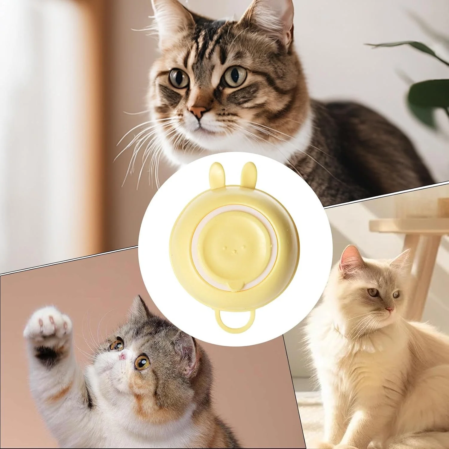 برس شستشوی سگ | اسکرابر توله سگ سیلیکونی طرح خرگوش - برس نظافت گربه | برای ماساژ، شستشو، شامپو و مراقبت از پوشش موی حیوانات خانگی برس شستشوی سگ | اسکرابر توله سگ سیلیکونی طرح خرگوش - برس نظافت گربه | برای ماساژ، شستشو، شامپو و مراقبت از پوشش موی حیوانات خانگی