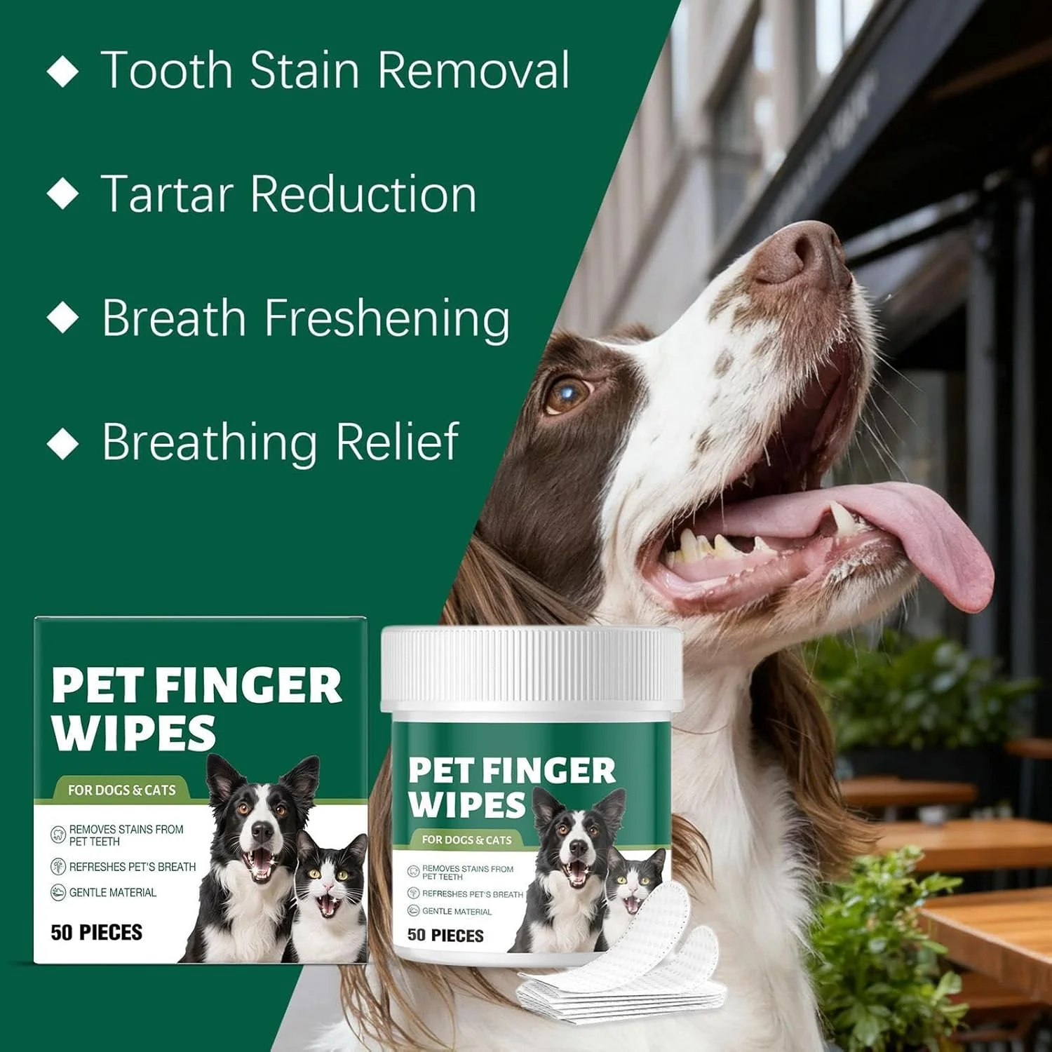 دستمال مرطوب تمیز کننده دندان گربه - 50 عدد مسواک انگشتی گربه - از بین برنده بوی بد دهان برای نظافت، بهداشت بچه گربه، شستشوی پنجه، دامپزشکی، مسافرت، فضای باز، داخل خانه دستمال مرطوب تمیز کننده دندان گربه - 50 عدد مسواک انگشتی گربه - از بین برنده بوی بد دهان برای نظافت، بهداشت بچه گربه، شستشوی پنجه، دامپزشکی، مسافرت، فضای باز، داخل خانه