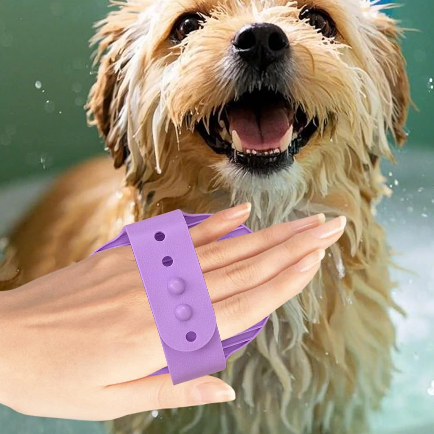 برس شامپو سگ، شانه نظافت ارگونومیک و راحت - برس دوش سگ، مناسب برای گربه ها، بچه گربه ها، راسوها، اسب ها، خرگوش ها، خوکچه های هندی، استفاده در داخل و خارج از خانه برس شامپو سگ، شانه نظافت ارگونومیک و راحت - برس دوش سگ، مناسب برای گربه ها، بچه گربه ها، راسوها، اسب ها، خرگوش ها، خوکچه های هندی، استفاده در داخل و خارج از خانه