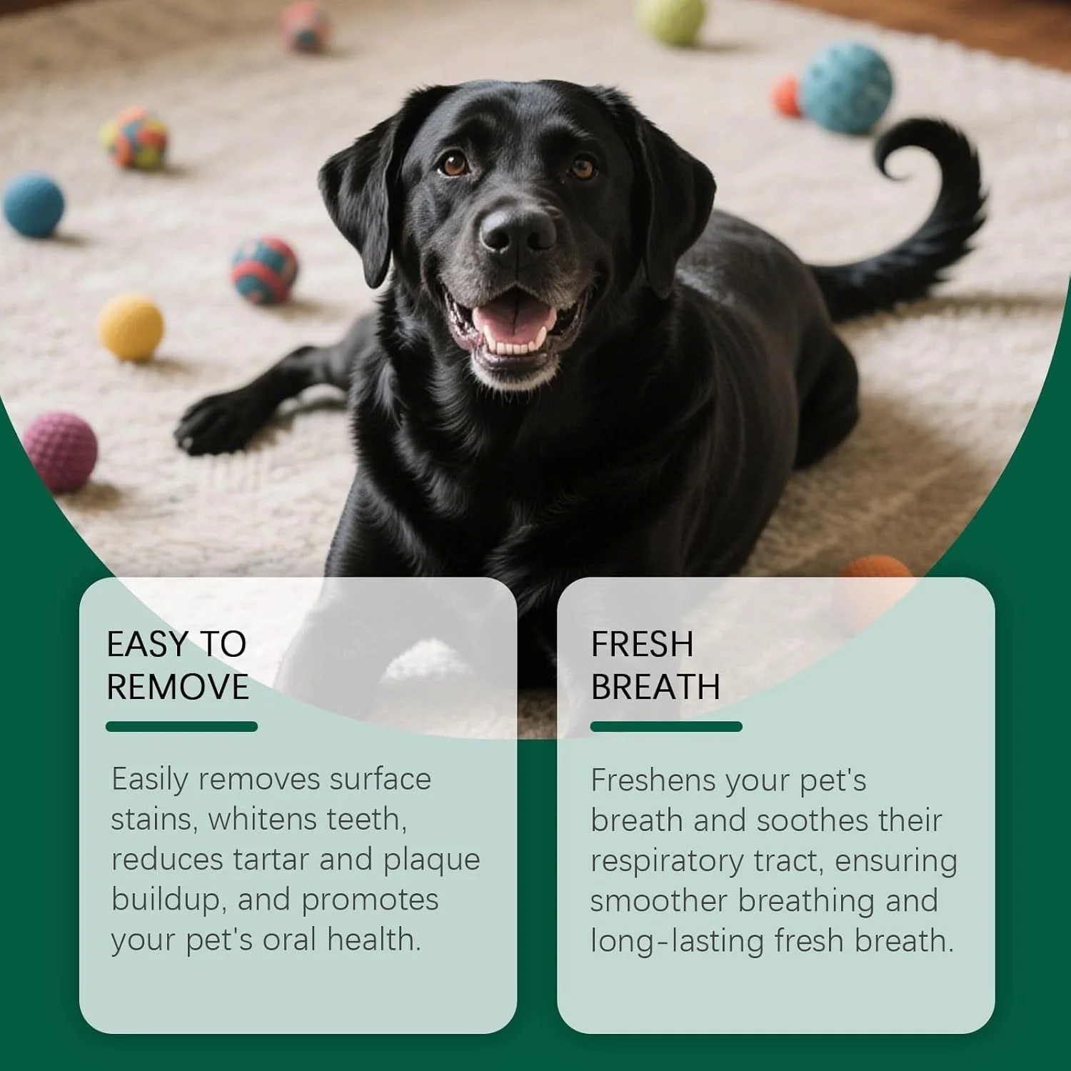 دستمال مرطوب تمیز کننده دندان گربه - 50 عدد مسواک انگشتی گربه - از بین برنده بوی بد دهان برای نظافت، بهداشت بچه گربه، شستشوی پنجه، دامپزشکی، مسافرت، فضای باز، داخل خانه دستمال مرطوب تمیز کننده دندان گربه - 50 عدد مسواک انگشتی گربه - از بین برنده بوی بد دهان برای نظافت، بهداشت بچه گربه، شستشوی پنجه، دامپزشکی، مسافرت، فضای باز، داخل خانه