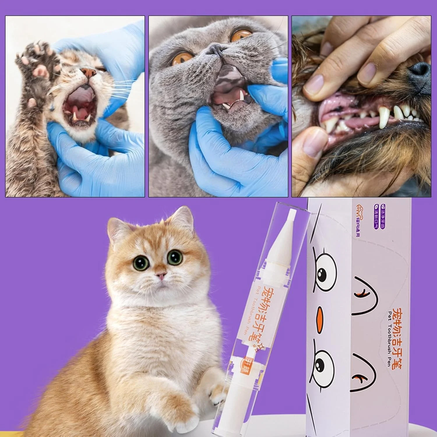 قلم مسواک گربه - مسواک نرم گربه 5 میلی لیتری، لوازم جانبی حیوانات خانگی برای حمام، نظافت دامپزشکی، توله سگ، خانه، مزرعه، مراقبت روزانه از حیوانات، بهداشت و نگهداری قلم مسواک گربه - مسواک نرم گربه 5 میلی لیتری، لوازم جانبی حیوانات خانگی برای حمام، نظافت دامپزشکی، توله سگ، خانه، مزرعه، مراقبت روزانه از حیوانات، بهداشت و نگهداری