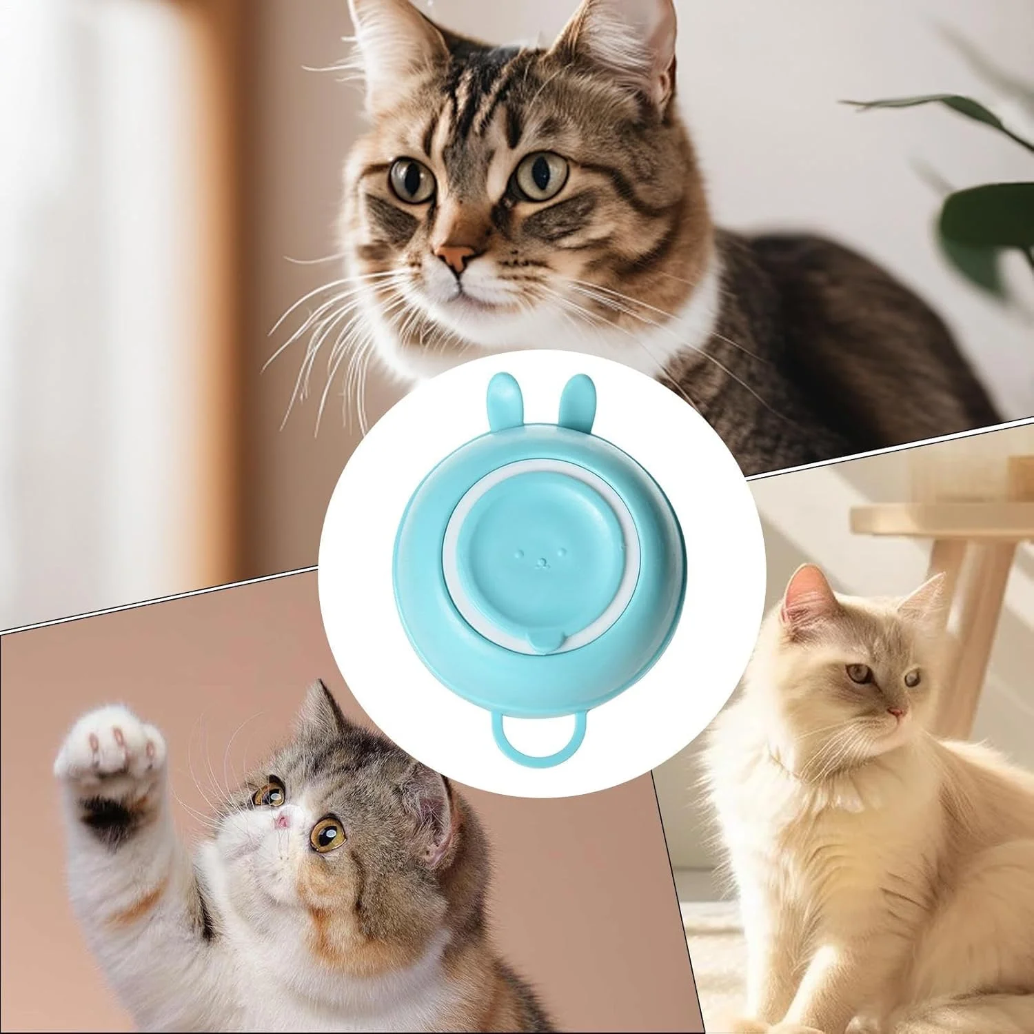 برس شستشوی سگ، اسکرابر مو سیلیکونی طرح خرگوش - برس اسکراب سگ، برای ماساژ، شستشو، شامپو زدن، مراقبت از پوشش مو، گربه و توله سگ برس شستشوی سگ، اسکرابر مو سیلیکونی طرح خرگوش - برس اسکراب سگ، برای ماساژ، شستشو، شامپو زدن، مراقبت از پوشش مو، گربه و توله سگ