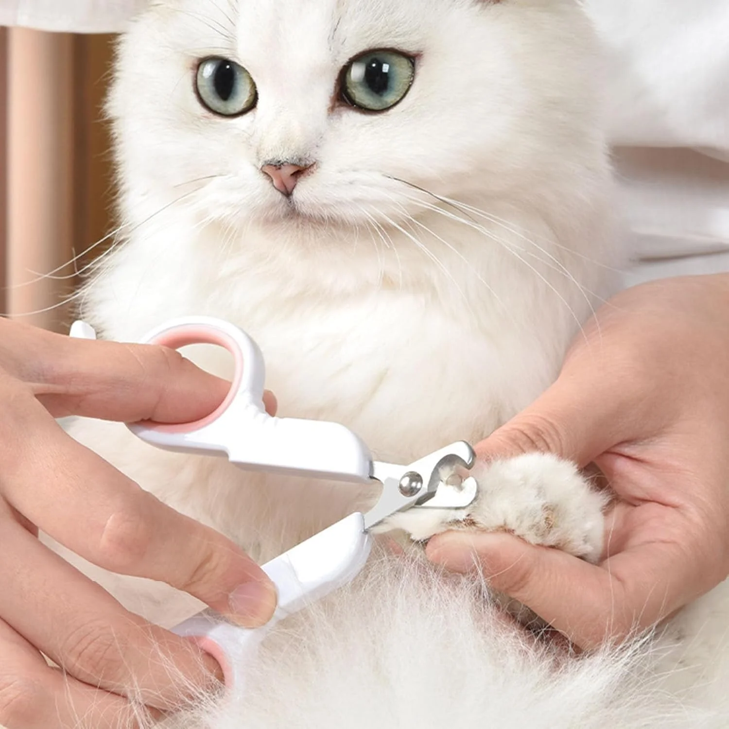ناخن گیر حرفه ای حیوانات خانگی با دسته ضد لغزش استیل و کارآمد برای لوازم آرایش و پیرایش ناخن گیر حرفه ای حیوانات خانگی با دسته ضد لغزش استیل و کارآمد برای لوازم آرایش و پیرایش