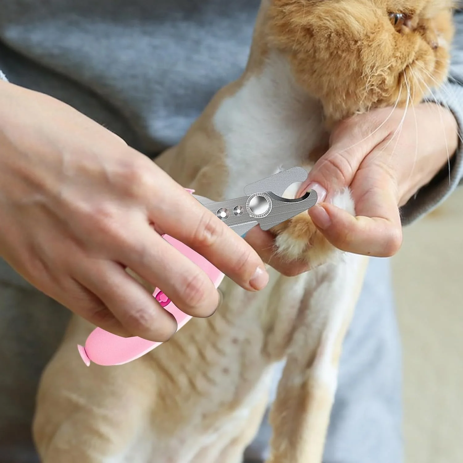 ناخن گیر گربه - ابزار سوهان پنجه برای توله سگ - ابزار دقیق و ارگونومیک پیرایش حیوانات برای صاحبان حیوانات خانگی، بزرگسالان، دوستان و خانواده ها ناخن گیر گربه - ابزار سوهان پنجه برای توله سگ - ابزار دقیق و ارگونومیک پیرایش حیوانات برای صاحبان حیوانات خانگی، بزرگسالان، دوستان و خانواده ها