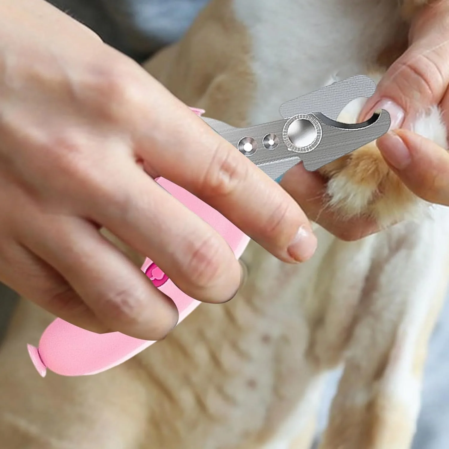 ناخن گیر گربه - ابزار سوهان پنجه برای توله سگ - ابزار دقیق و ارگونومیک پیرایش حیوانات برای صاحبان حیوانات خانگی، بزرگسالان، دوستان و خانواده ها ناخن گیر گربه - ابزار سوهان پنجه برای توله سگ - ابزار دقیق و ارگونومیک پیرایش حیوانات برای صاحبان حیوانات خانگی، بزرگسالان، دوستان و خانواده ها