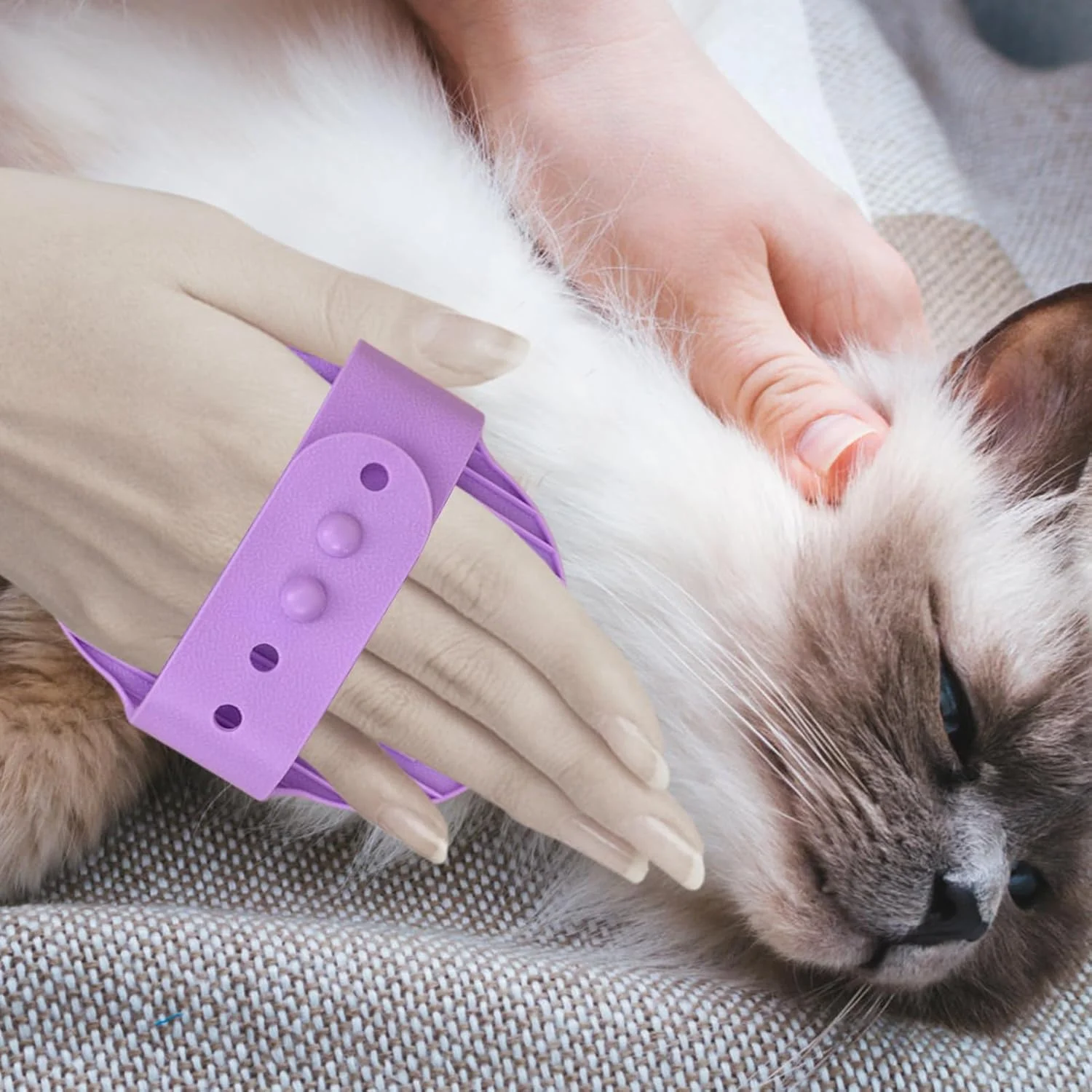 برس شستشوی سگ، شانه نظافت راحت و ارگونومیک، اسکرابر نرم حیوانات خانگی - برای گربه ها، توله سگ ها، راسوها، اسب ها، خرگوش ها، خوکچه های هندی، داخل و خارج از خانه برس شستشوی سگ، شانه نظافت راحت و ارگونومیک، اسکرابر نرم حیوانات خانگی - برای گربه ها، توله سگ ها، راسوها، اسب ها، خرگوش ها، خوکچه های هندی، داخل و خارج از خانه