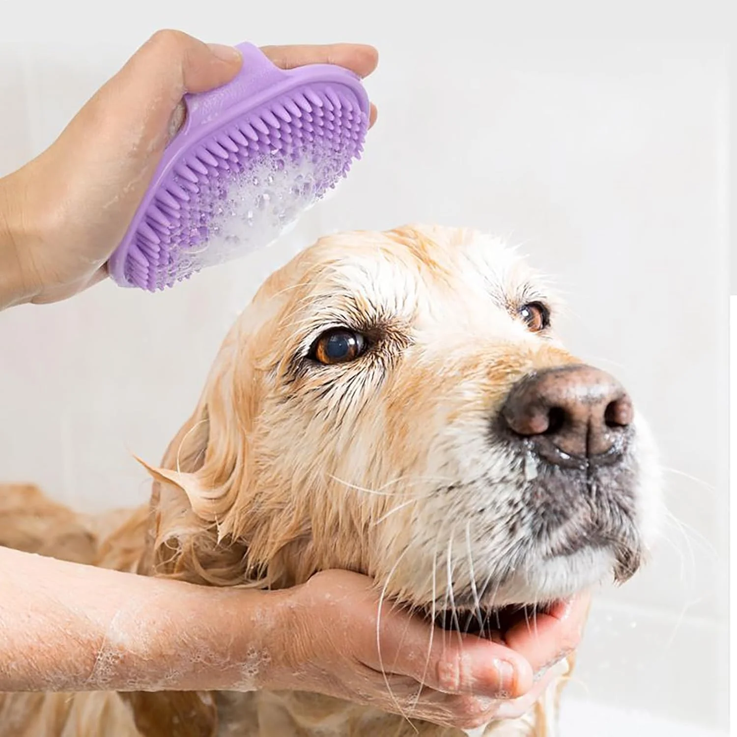 برس حمام سگ - شانه نظافت راحت و ارگونومیک | برس حمام حیوانات خانگی | برای گربه ها، توله سگ ها، راسوها، اسب ها، خرگوش ها، خوکچه های هندی، داخل و خارج از خانه برس حمام سگ - شانه نظافت راحت و ارگونومیک | برس حمام حیوانات خانگی | برای گربه ها، توله سگ ها، راسوها، اسب ها، خرگوش ها، خوکچه های هندی، داخل و خارج از خانه