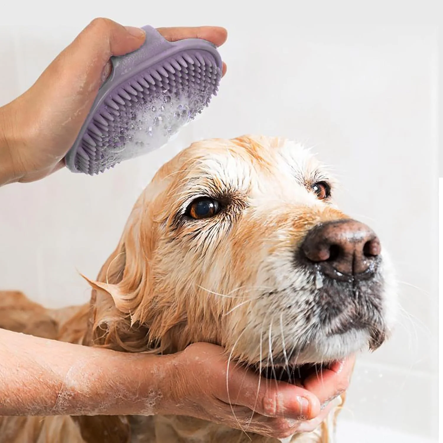 برس شستشوی سگ - شانه ماساژ راحت، برس شامپو نرم حیوانات خانگی - مناسب برای گربه ها، بچه گربه ها، راسوها، اسب ها، خرگوش ها، خوکچه های هندی، استفاده در داخل و خارج از خانه برس شستشوی سگ - شانه ماساژ راحت، برس شامپو نرم حیوانات خانگی - مناسب برای گربه ها، بچه گربه ها، راسوها، اسب ها، خرگوش ها، خوکچه های هندی، استفاده در داخل و خارج از خانه
