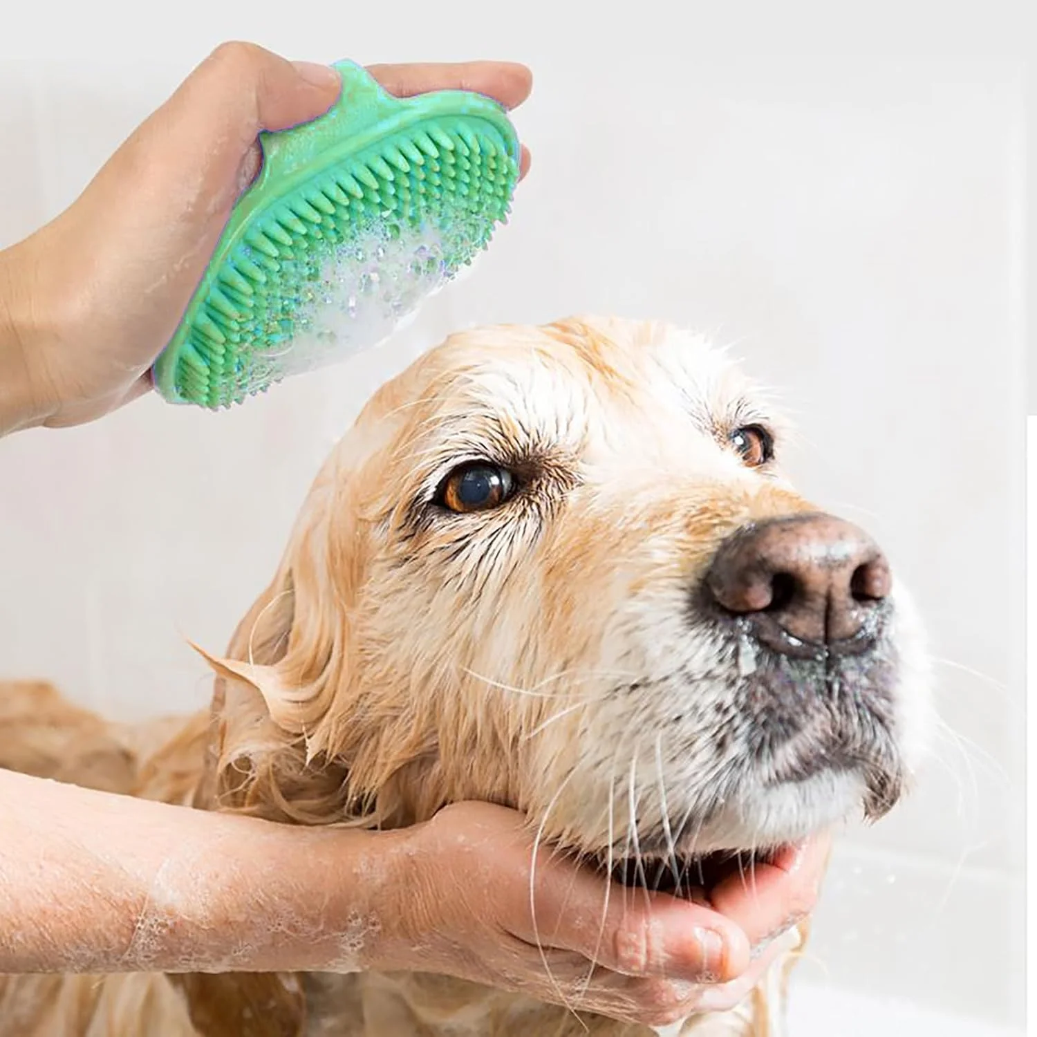 برس سگ برای حیوانات خانگی مو کوتاه - شانه ماساژ راحت | برس حمام سگ | برای گربه ها، توله سگ ها، راسوها، اسب ها، خرگوش ها، خوکچه های هندی، داخل و خارج از خانه برس سگ برای حیوانات خانگی مو کوتاه - شانه ماساژ راحت | برس حمام سگ | برای گربه ها، توله سگ ها، راسوها، اسب ها، خرگوش ها، خوکچه های هندی، داخل و خارج از خانه