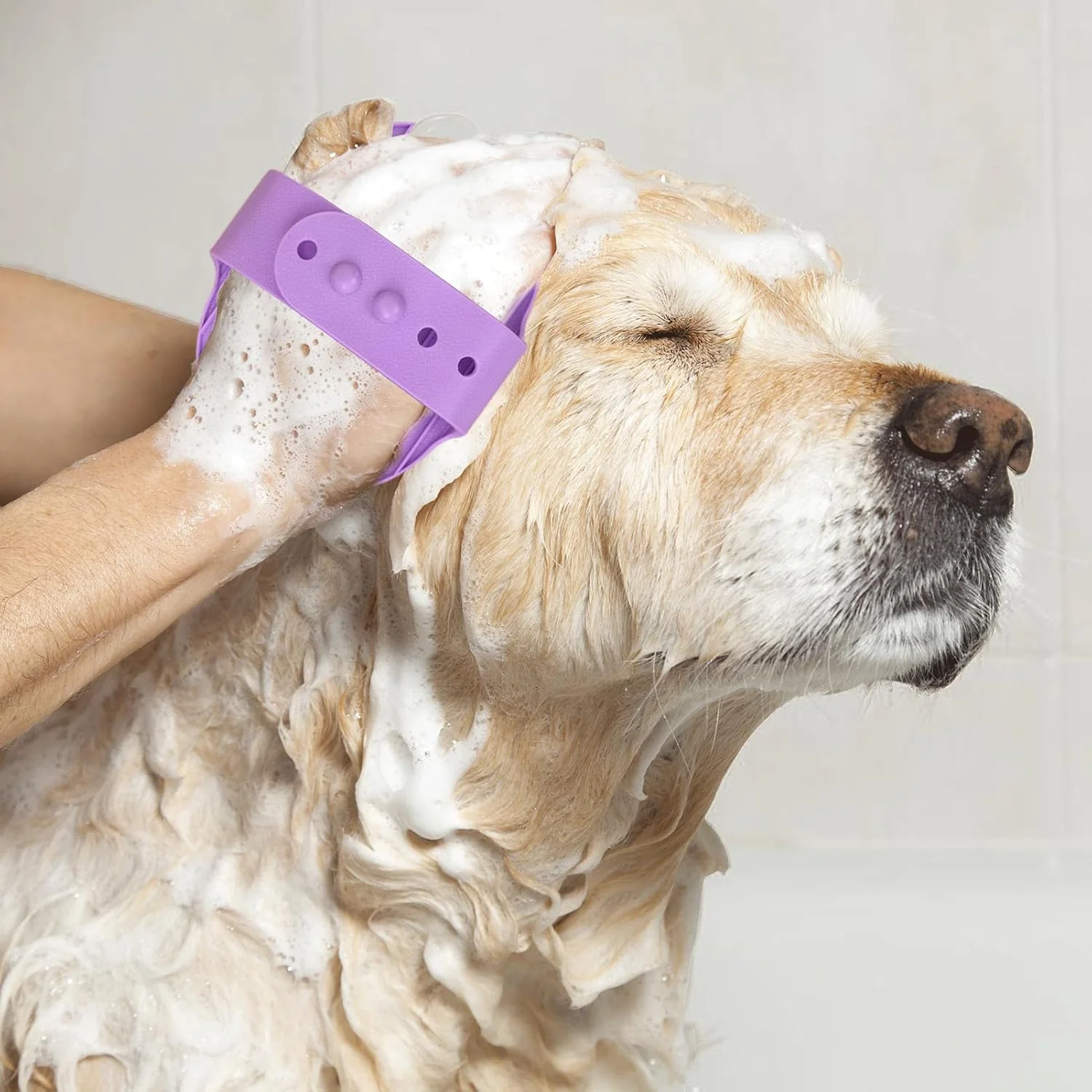 برس سگ برای حیوانات خانگی مو کوتاه | ابزارهای ماساژ راحت برای نظافت | اسکرابر نرم سگ برای حمام، مناسب برای گربه ها، توله سگ ها، راسوها، اسب ها، خرگوش ها، خوکچه های هندی، استفاده در داخل و خارج از خانه