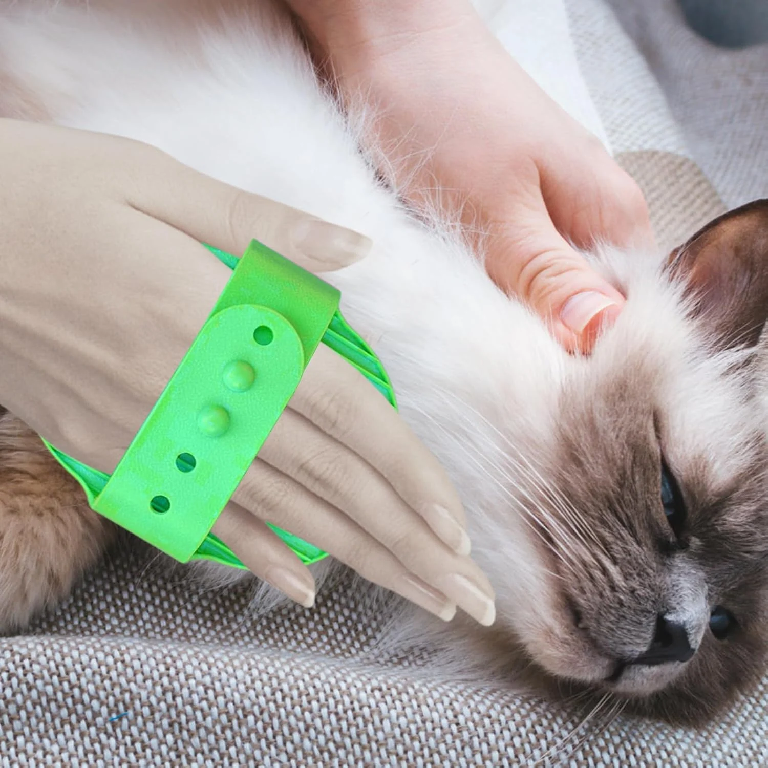 برس سگ برای حیوانات خانگی مو کوتاه، ابزار شانه ماساژ ارگونومیک | برس دوش سگ، برای گربه ها، بچه گربه ها، راسوها، اسب ها، خرگوش ها، خوکچه های هندی، داخل و خارج از خانه