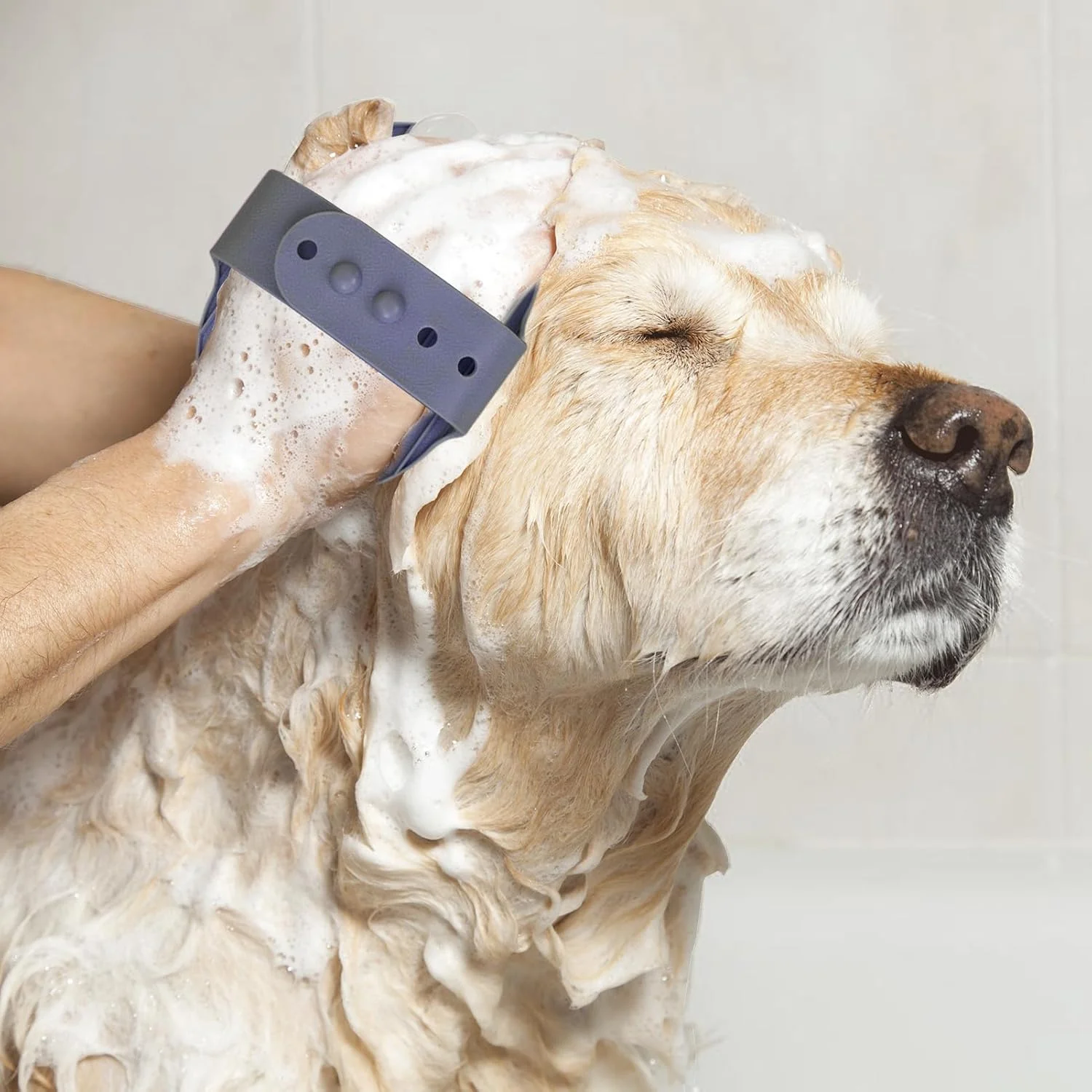 برس شستشوی سگ، شانه ابزار ماساژ راحت - برس نرم شامپو حیوانات خانگی | برای گربه ها، بچه گربه ها، راسوها، اسب ها، خرگوش ها، خوکچه هندی، داخل و خارج از خانه برس شستشوی سگ، شانه ابزار ماساژ راحت - برس نرم شامپو حیوانات خانگی | برای گربه ها، بچه گربه ها، راسوها، اسب ها، خرگوش ها، خوکچه هندی، داخل و خارج از خانه