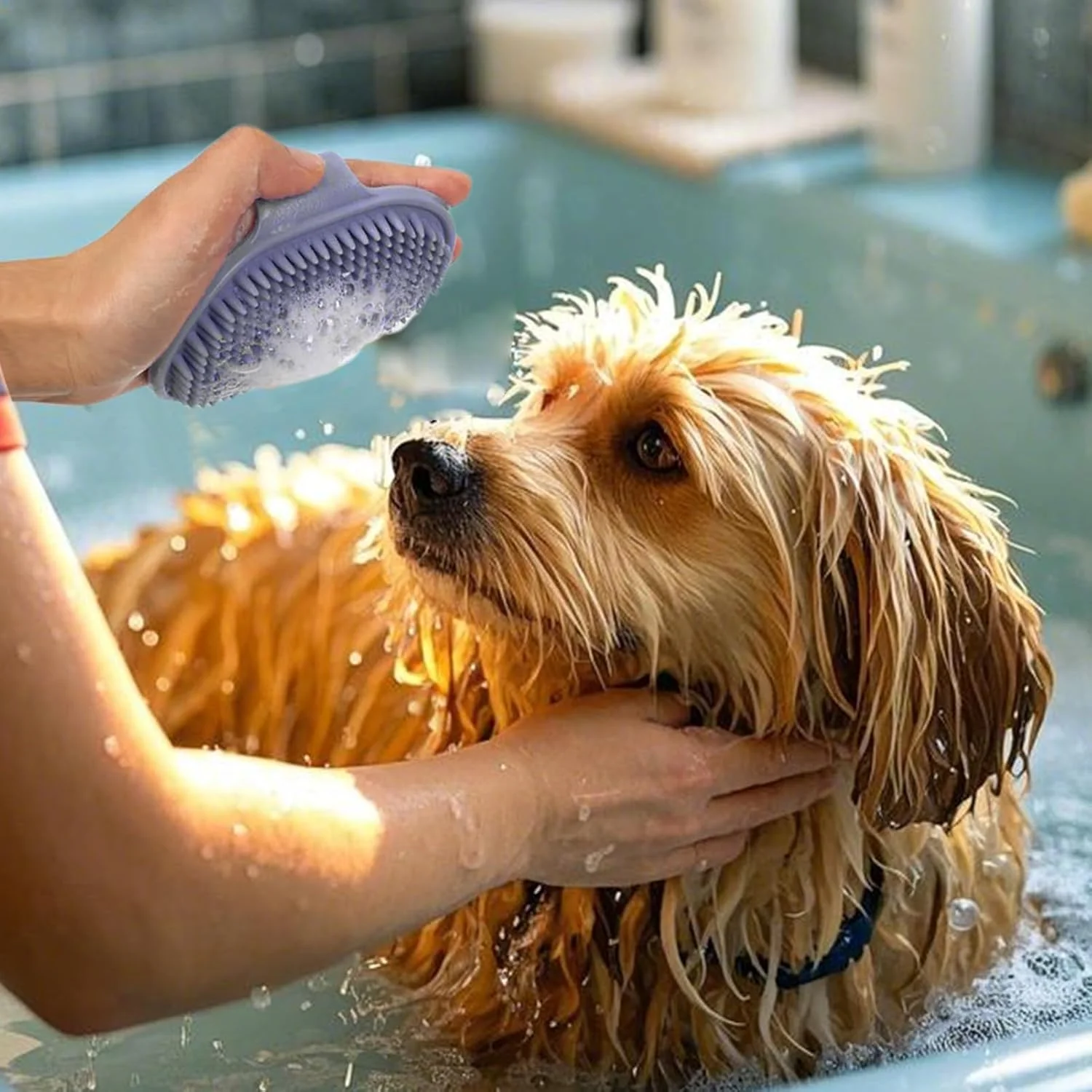 برس شستشوی سگ - ابزار شانه ماساژ ارگونومیک، اسکرابر نرم حیوانات خانگی | برای گربه ها، توله سگ ها، راسوها، اسب ها، خرگوش ها، خوکچه هندی، داخل و خارج از خانه