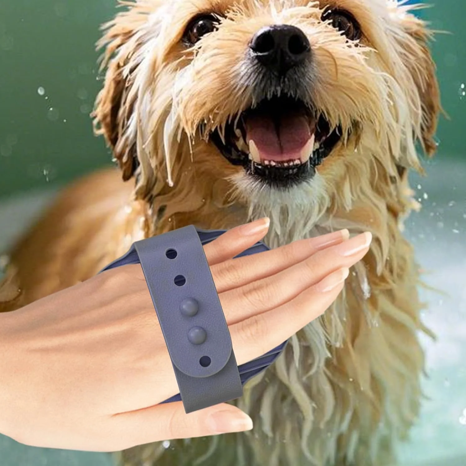 برس اسکرابر سگ برای حمام | شانه نظافت ارگونومیک و راحت، برس حمام حیوانات خانگی - برای گربه ها، توله سگ ها، راسوها، اسب ها، خرگوش ها، خوکچه هندی، داخل و خارج از خانه برس اسکرابر سگ برای حمام | شانه نظافت ارگونومیک و راحت، برس حمام حیوانات خانگی - برای گربه ها، توله سگ ها، راسوها، اسب ها، خرگوش ها، خوکچه هندی، داخل و خارج از خانه