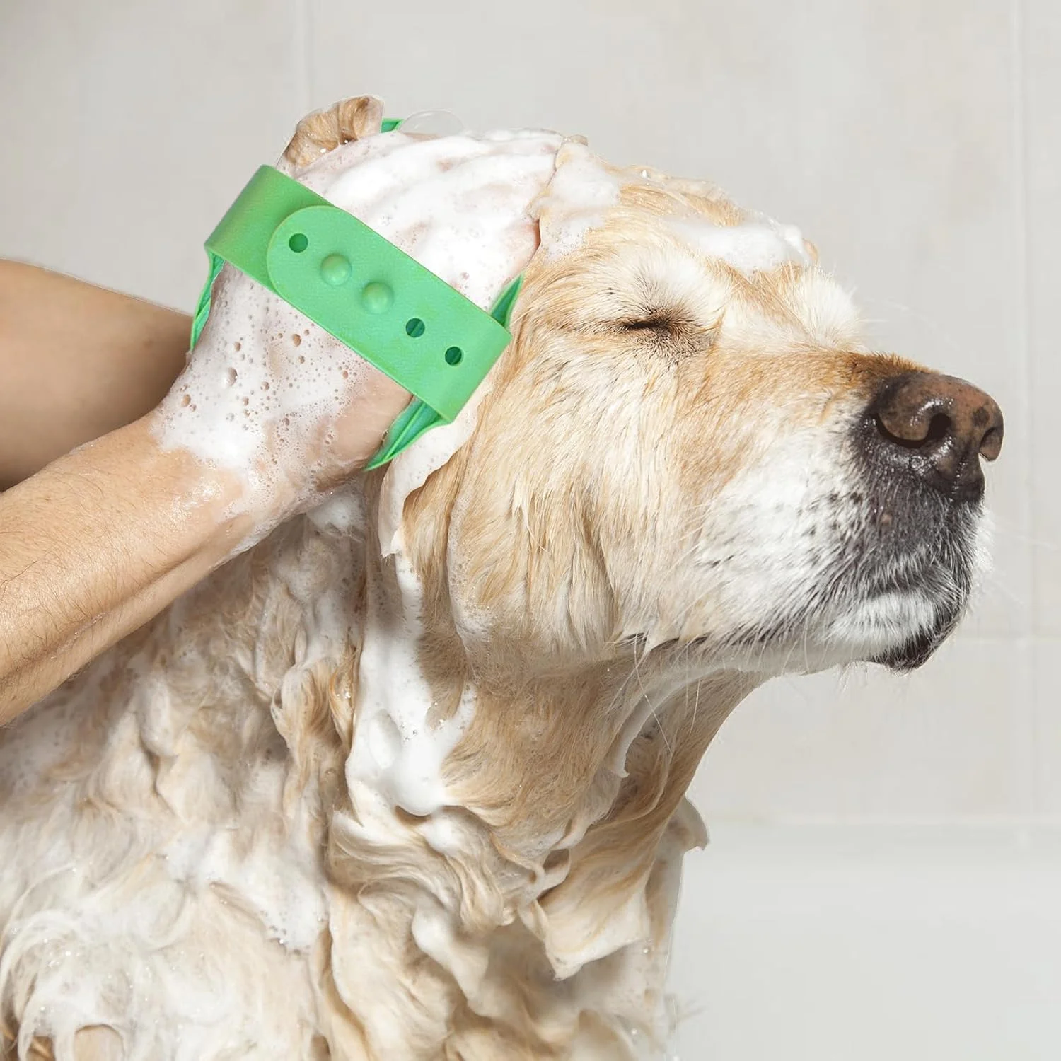 برس سگ برای حیوانات خانگی مو کوتاه - ابزار شانه ماساژ ارگونومیک | اسکرابر نرم سگ برای حمام، برای گربه ها، بچه گربه ها، راسوها، اسب ها، خرگوش ها، خوکچه های هندی، داخل و خارج از خانه برس سگ برای حیوانات خانگی مو کوتاه - ابزار شانه ماساژ ارگونومیک | اسکرابر نرم سگ برای حمام، برای گربه ها، بچه گربه ها، راسوها، اسب ها، خرگوش ها، خوکچه های هندی، داخل و خارج از خانه