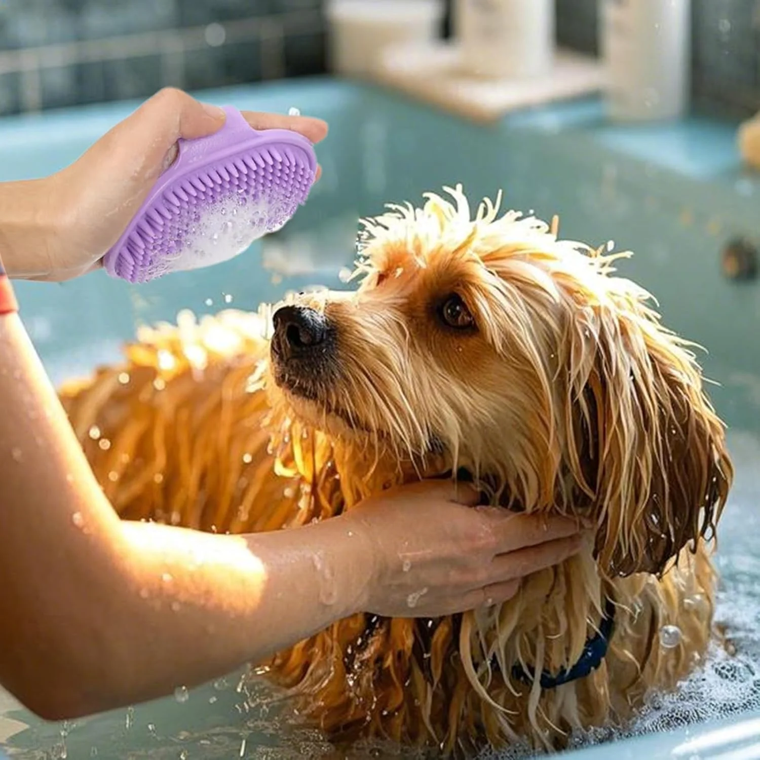 برس سگ برای حیوانات خانگی مو کوتاه - ابزار شانه ماساژ ارگونومیک | برس نرم شامپو حیوانات خانگی | برای گربه ها، بچه گربه ها، راسوها، اسب ها، خرگوش ها، خوکچه های هندی، داخل و خارج از خانه