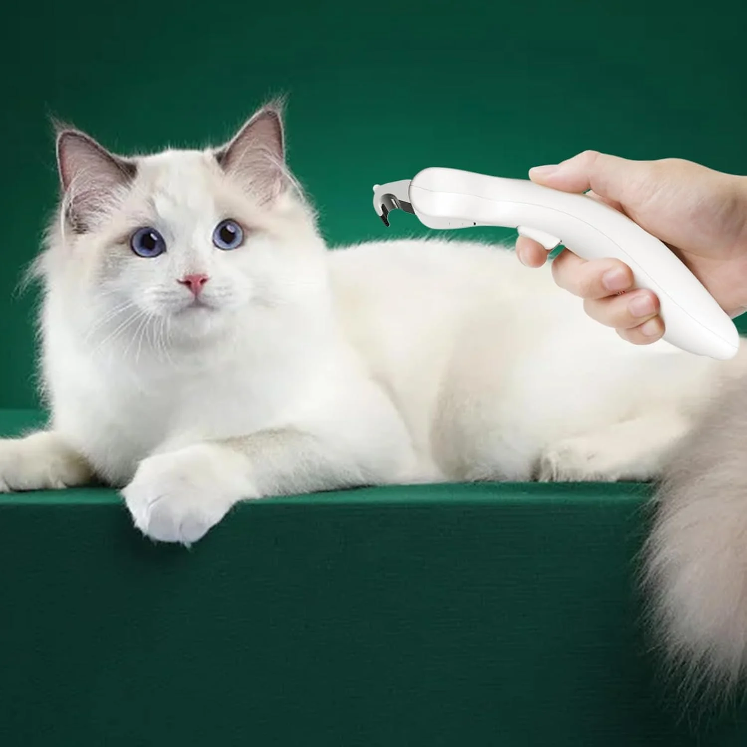 برس ریزش موی گربه | شانه خود تمیز شونده استیل ضد زنگ | شانه تمیز کننده حیوانات خانگی | برای مسافرت، نظافت داخلی و خارجی، حمام کردن، نظافت روزانه توله سگ و بچه گربه