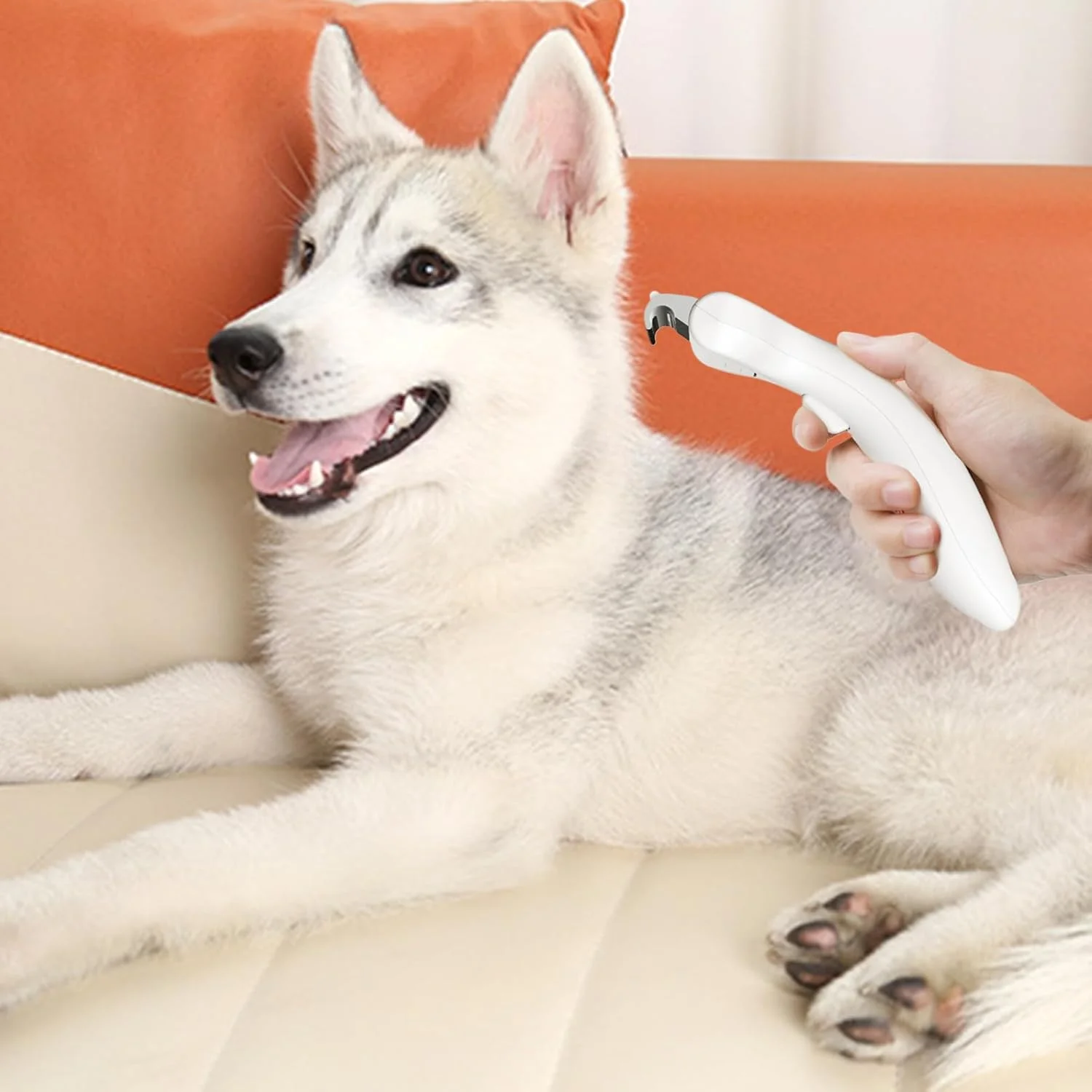 برس ریزش مو برای گربه ها - شانه خود تمیز شونده استیل ضد زنگ، ابزار نظافت سازگار با پوست | برای تمیز کردن، مسافرت، نظافت در فضای باز و داخل خانه، حمام کردن، نظافت روزانه توله سگ و بچه گربه برس ریزش مو برای گربه ها - شانه خود تمیز شونده استیل ضد زنگ، ابزار نظافت سازگار با پوست | برای تمیز کردن، مسافرت، نظافت در فضای باز و داخل خانه، حمام کردن، نظافت روزانه توله سگ و بچه گربه