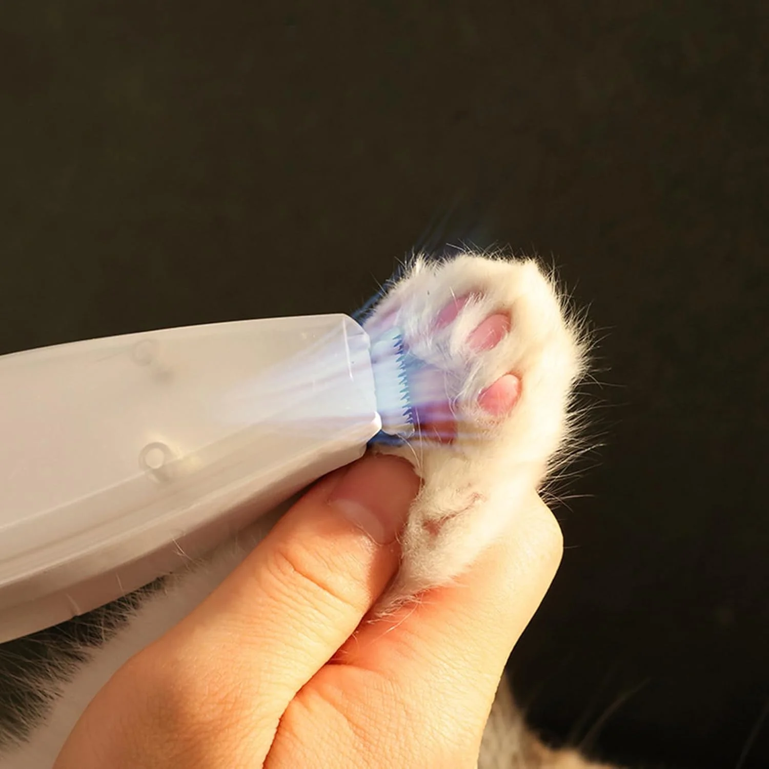 ماشین اصلاح پنجه حیوانات خانگی | ماشین اصلاح و سوهان ناخن | ماشین اصلاح سگ برای نظافت، مناسب گربه ها، توله سگ ها، حیوانات خانگی نژاد کوچک و بزرگ با پوشش ضخیم و ریزش مو