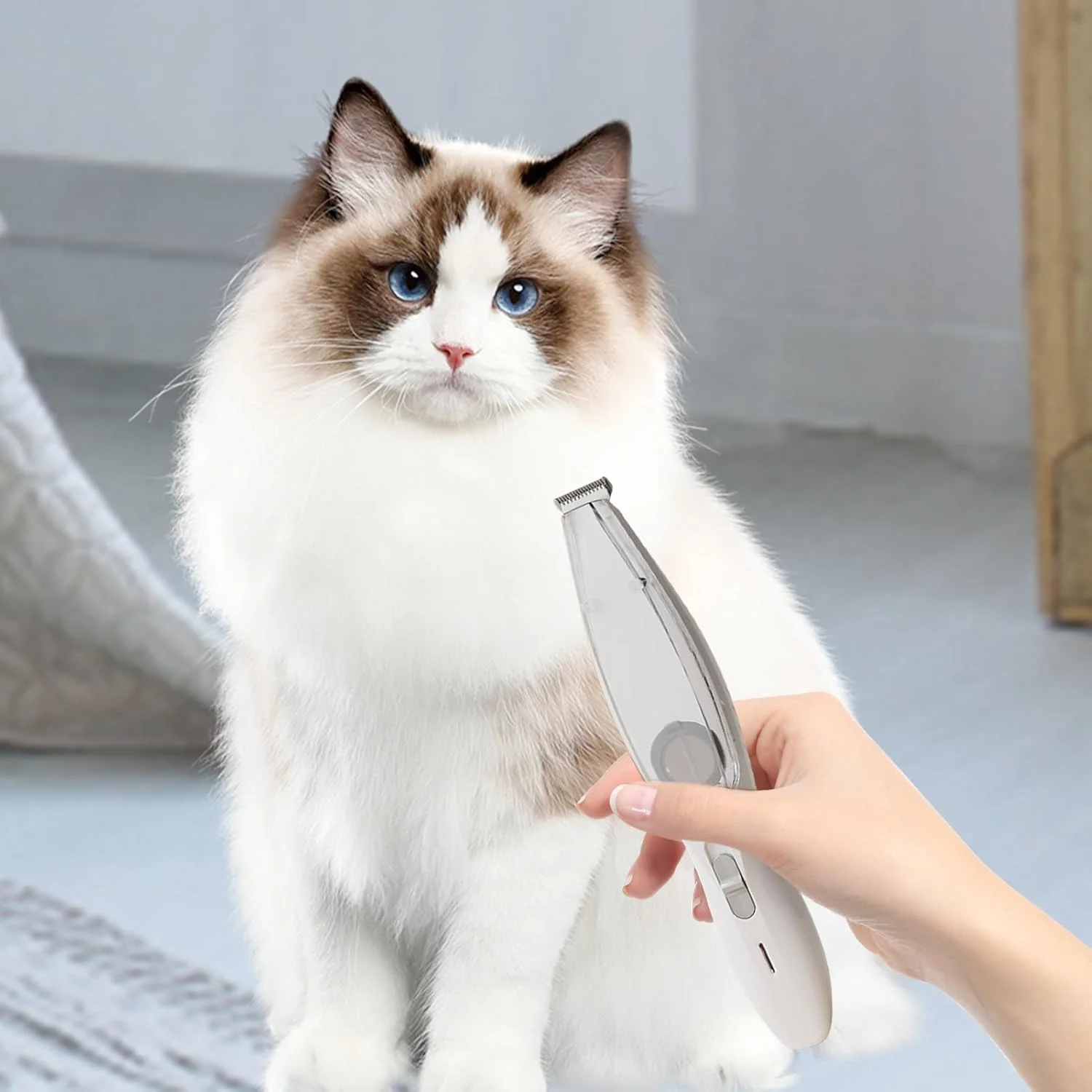 ماشین اصلاح پنجه حیوانات خانگی، ماشین اصلاح و سوهان ناخن | ماشین اصلاح و پیرایش حیوانات خانگی | برای گربه ها، توله سگ ها، حیوانات خانگی نژاد کوچک و بزرگ با پوشش ضخیم و ریزش مو ماشین اصلاح پنجه حیوانات خانگی، ماشین اصلاح و سوهان ناخن | ماشین اصلاح و پیرایش حیوانات خانگی | برای گربه ها، توله سگ ها، حیوانات خانگی نژاد کوچک و بزرگ با پوشش ضخیم و ریزش مو