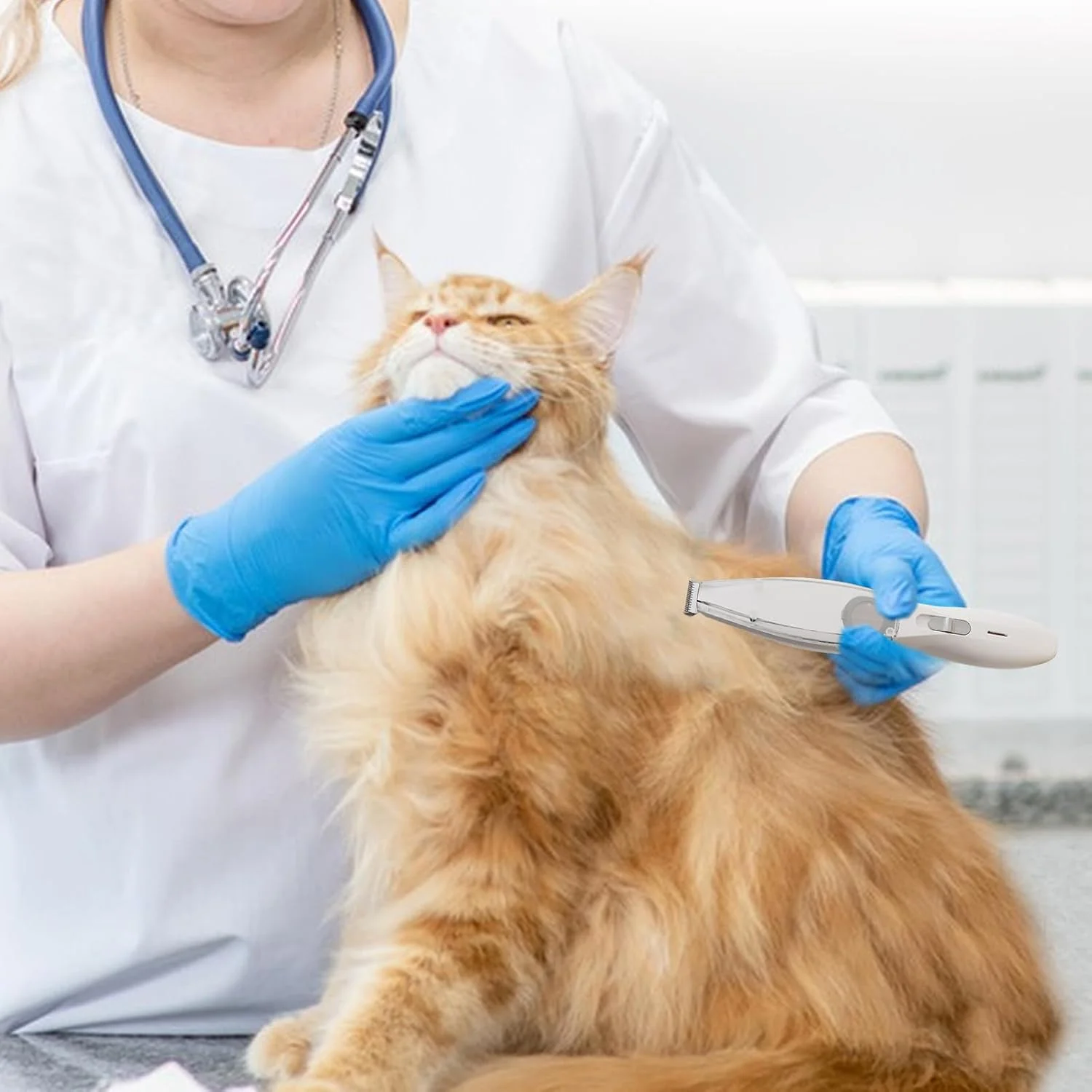 ماشین اصلاح موی پنجه سگ، ناخن گیر و سوهان | ماشین اصلاح و پیرایش حیوانات خانگی - برای گربه ها، توله سگ ها، نژادهای کوچک و بزرگ، حیوانات خانگی با پوشش ضخیم و ریزش مو