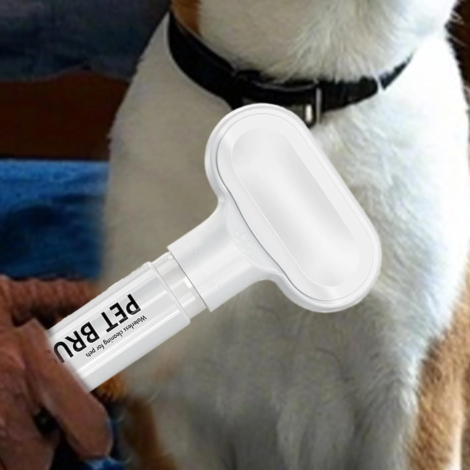 برس حمام سگ | برس ماساژور و قابل حمل با محفظه صابون - مناسب برای شستشو و نظافت موهای کوتاه و بلند سگ، گربه، بچه گربه و خرگوش در خانه