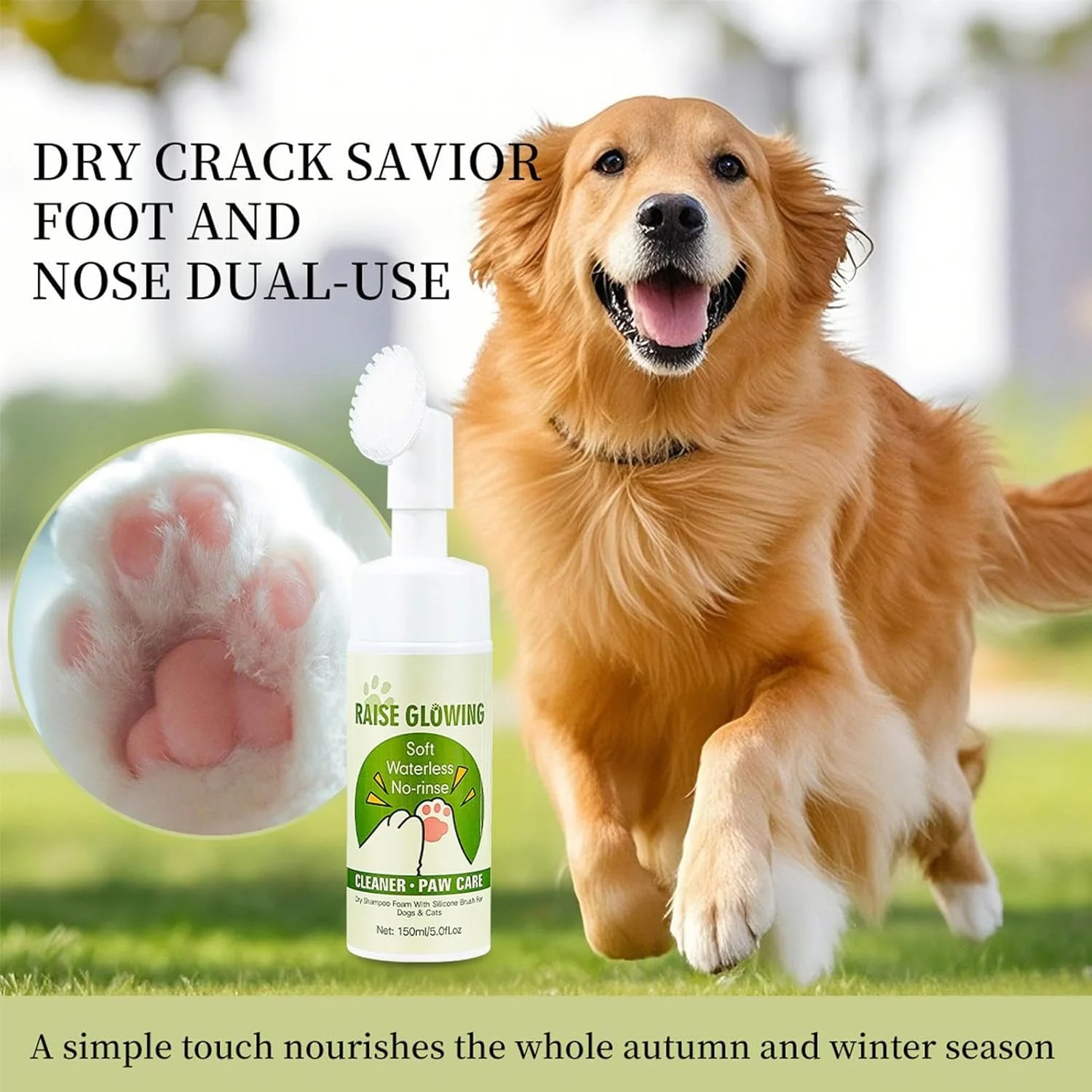 تمیز کننده پنجه سگ، تمیز کننده مرطوب کننده فوم - واشر پنجه سگ مرطوب کننده | برای حمام مسافرتی نظافت منزل نظافت پیاده روی روتین روزانه در فضای باز تمیز کننده پنجه سگ، تمیز کننده مرطوب کننده فوم - واشر پنجه سگ مرطوب کننده | برای حمام مسافرتی نظافت منزل نظافت پیاده روی روتین روزانه در فضای باز