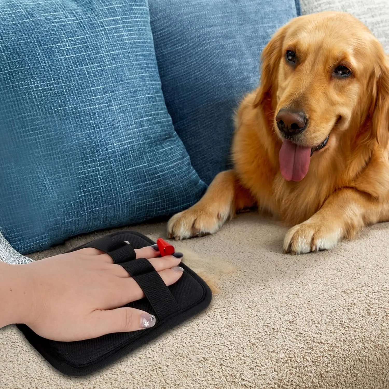 دستکش الکترواستاتیک پاک کننده موی حیوانات خانگی | دستکش تمیز کننده ارگونومیک و ضد الکتریسیته ساکن و قابل شستشو برای تمیز کردن موهای ریخته شده در داخل و خارج از خانه دستکش الکترواستاتیک پاک کننده موی حیوانات خانگی | دستکش تمیز کننده ارگونومیک و ضد الکتریسیته ساکن و قابل شستشو برای تمیز کردن موهای ریخته شده در داخل و خارج از خانه