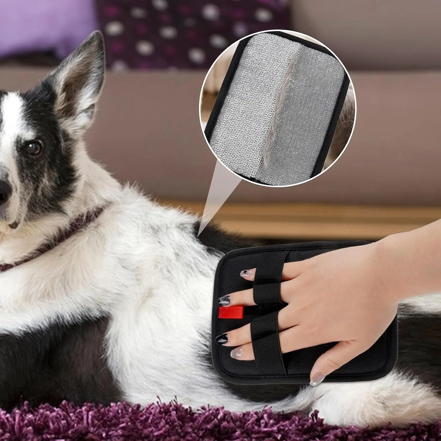 دستکش الکترواستاتیک پاک کننده موی حیوانات خانگی، دستکش الکترواستاتیک برای حذف موی حیوانات خانگی | دستکش تمیز کننده ارگونومیک ضد الکتریسیته ساکن قابل شستشو و استفاده مجدد برای تمیز کردن مبل، کاناپه، مبلمان و فرش دستکش الکترواستاتیک پاک کننده موی حیوانات خانگی، دستکش الکترواستاتیک برای حذف موی حیوانات خانگی | دستکش تمیز کننده ارگونومیک ضد الکتریسیته ساکن قابل شستشو و استفاده مجدد برای تمیز کردن مبل، کاناپه، مبلمان و فرش