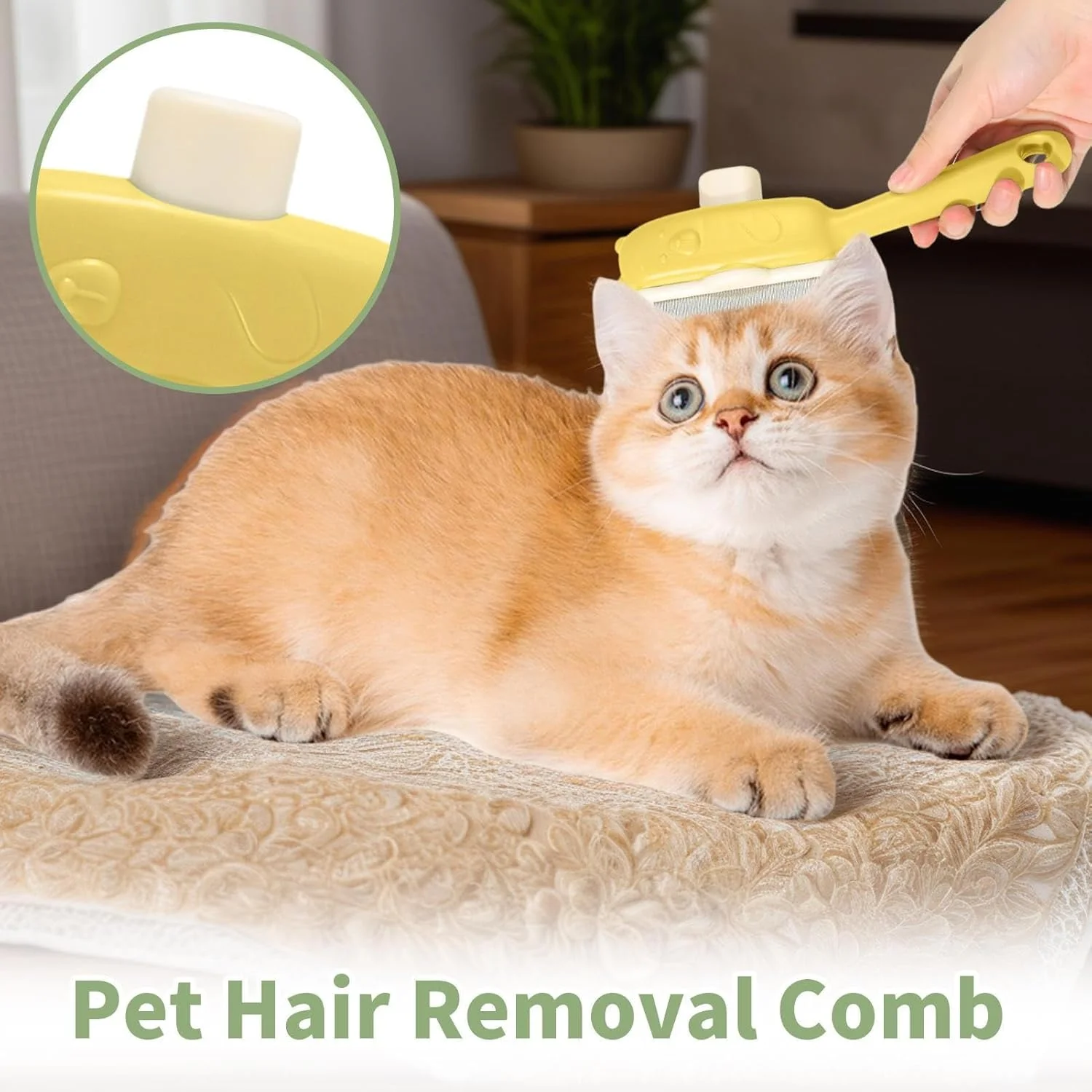 برس مو سگ - شانه گره باز کن گربه دکمه خرسی - برس نظافت حیوانات خانگی ابزار ماساژ برای تمیز کردن حمام روزانه سگ در فضای باز و داخل خانه آپارتمان برس مو سگ - شانه گره باز کن گربه دکمه خرسی - برس نظافت حیوانات خانگی ابزار ماساژ برای تمیز کردن حمام روزانه سگ در فضای باز و داخل خانه آپارتمان