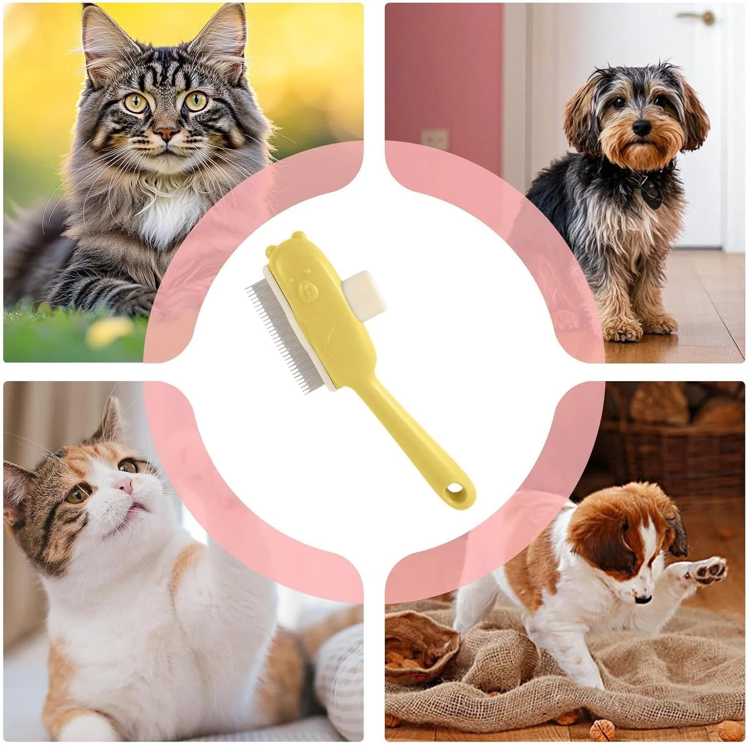برس مو سگ - شانه گره باز کن گربه دکمه خرسی - برس نظافت حیوانات خانگی ابزار ماساژ برای تمیز کردن حمام روزانه سگ در فضای باز و داخل خانه آپارتمان برس مو سگ - شانه گره باز کن گربه دکمه خرسی - برس نظافت حیوانات خانگی ابزار ماساژ برای تمیز کردن حمام روزانه سگ در فضای باز و داخل خانه آپارتمان