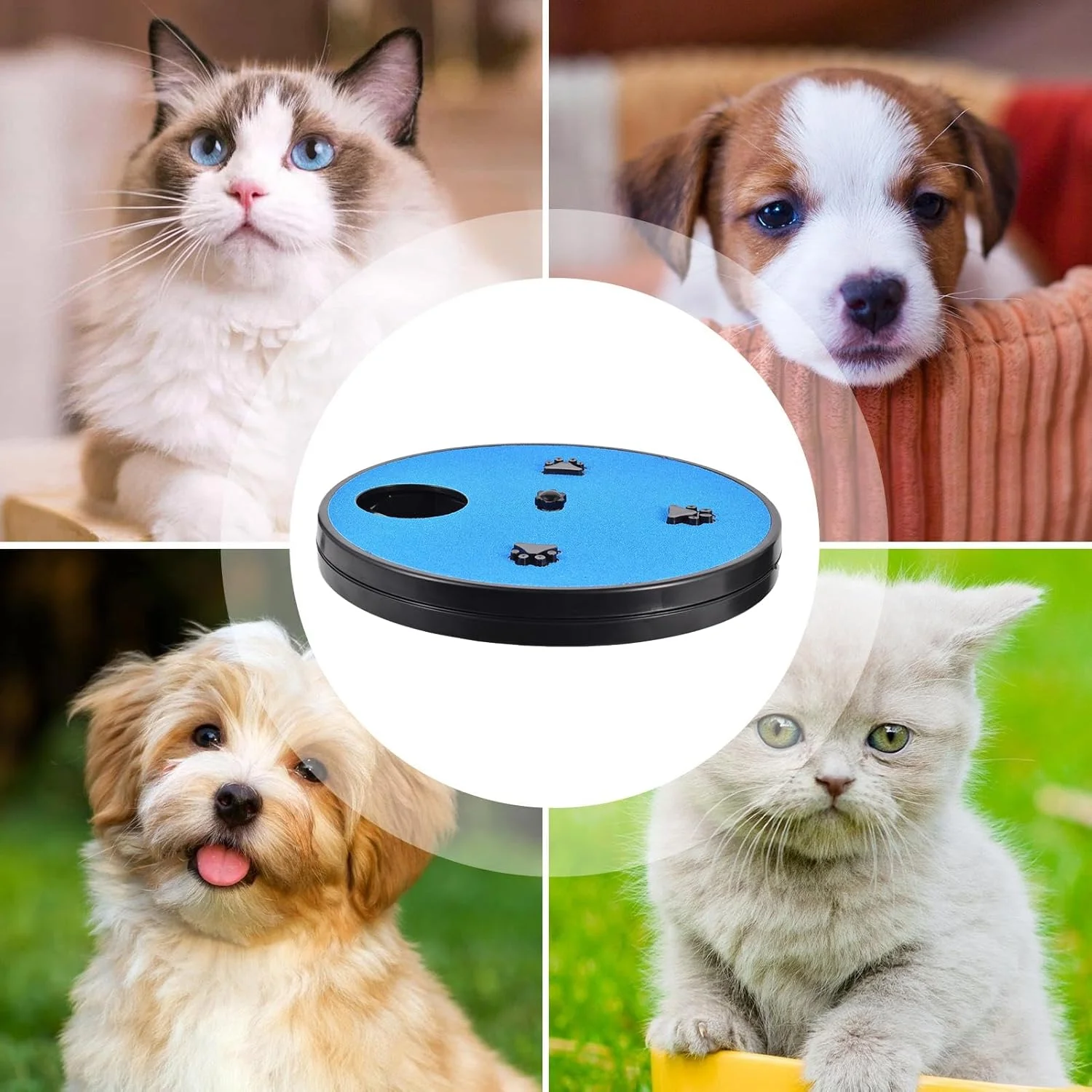 پد خراش سگ، پازل پد خراش جعبه تشویقی - صفحه خراش چرخشی ناخن سگ - برای آموزش مبلمان، کاناپه، کف و ماشین، جستجو و بو کشیدن پد خراش سگ، پازل پد خراش جعبه تشویقی - صفحه خراش چرخشی ناخن سگ - برای آموزش مبلمان، کاناپه، کف و ماشین، جستجو و بو کشیدن