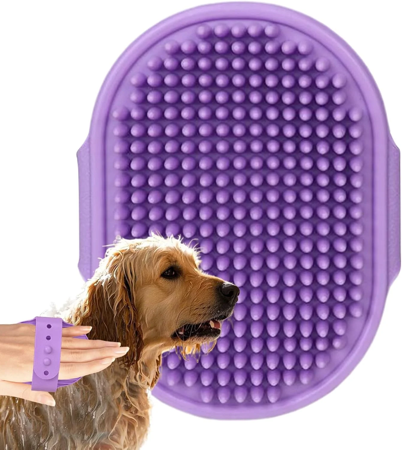 برس شامپو سگ، ابزار شانه ماساژ ارگونومیک | برس نرم سگ برای حمام - برای گربه ها، توله سگ ها، راسوها، اسب ها، خرگوش ها، خوکچه های هندی، داخل و خارج از خانه برس شامپو سگ، ابزار شانه ماساژ ارگونومیک | برس نرم سگ برای حمام - برای گربه ها، توله سگ ها، راسوها، اسب ها، خرگوش ها، خوکچه های هندی، داخل و خارج از خانه