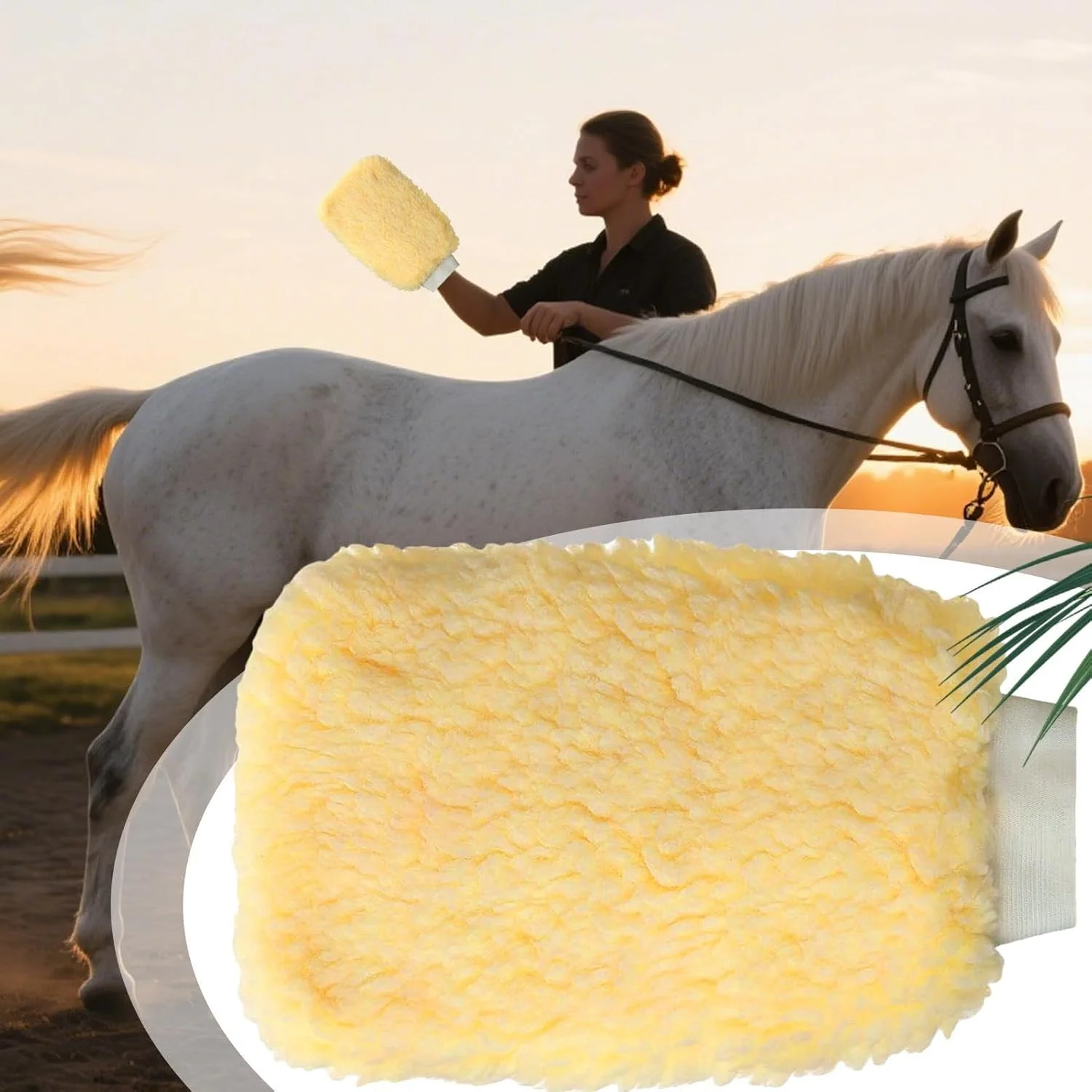 دستکش نظافت اسب | دستکش تمیز کننده راحت برای حمام اسب، دستکش چند منظوره برای نظافت حیوانات خانگی مانند گربه، سگ، خرگوش و حیوانات کوچک دستکش نظافت اسب | دستکش تمیز کننده راحت برای حمام اسب، دستکش چند منظوره برای نظافت حیوانات خانگی مانند گربه، سگ، خرگوش و حیوانات کوچک