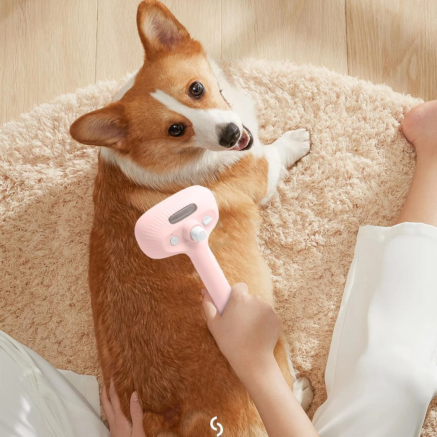 برس آب پاش گربه - برس موی گربه | شانه ابزار تمیز کننده ضد الکتریسیته ساکن حیوانات خانگی کاهش ریزش مو نظافت روزانه استفاده در حمام سالن اسپا آماده سازی نمایش