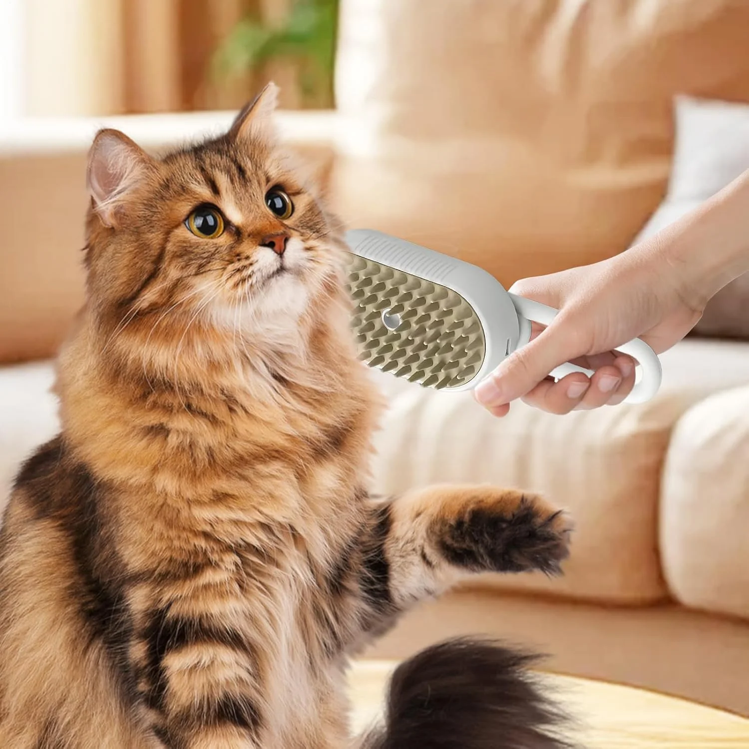 Steam Brush for Cats - USB Charging Detangling Brush,Gentle Pet Massage Tool for Puppy Kitten Bunny Care Indoor Outdoor Shower Bath Travel Steam Brush for Cats - USB Charging Detangling Brush,Gentle Pet Massage Tool for Puppy Kitten Bunny Care Indoor Outdoor Shower Bath Travel