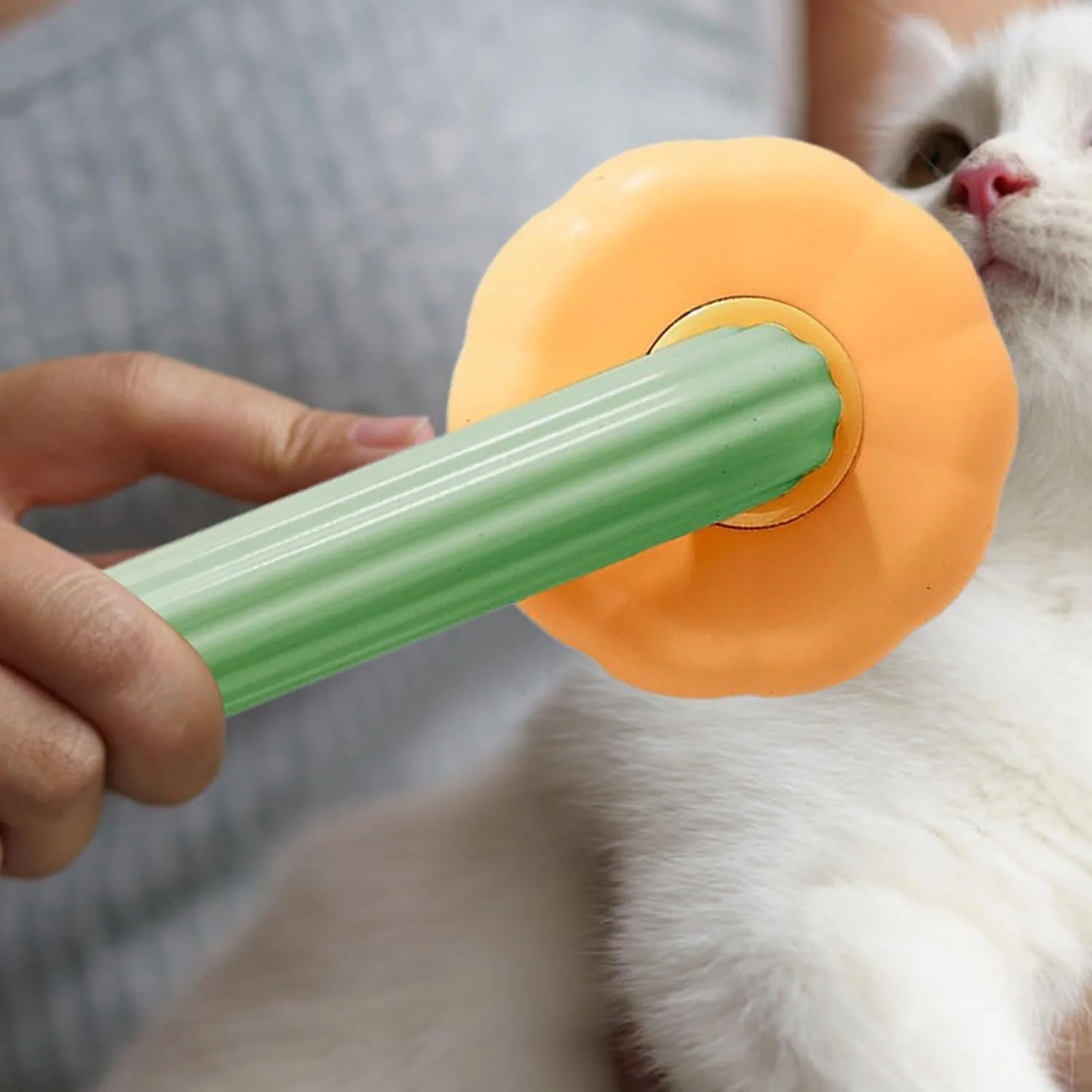 برس سگ، برس نظافت مو برای ریزش موی سگ - شانه گره باز کن طرح کدو تنبل، ابزار ماساژ برای ریزش مو، شستشوی توله سگ، حمام، منزل، فرش، دوش، مراقبت از حیوانات خانگی برس سگ، برس نظافت مو برای ریزش موی سگ - شانه گره باز کن طرح کدو تنبل، ابزار ماساژ برای ریزش مو، شستشوی توله سگ، حمام، منزل، فرش، دوش، مراقبت از حیوانات خانگی