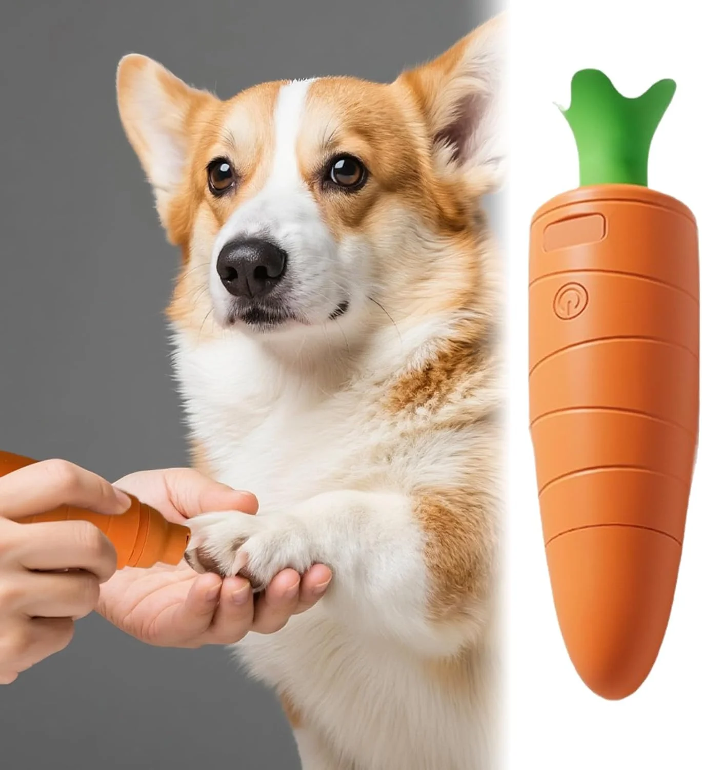 سوهان ناخن سگ، ناخن گیر شارژی | سوهان برقی ناخن حیوانات خانگی، برای بچه گربه، توله سگ، حیوانات کوچک، خانه، حمام، پناهگاه، مسافرت سوهان ناخن سگ، ناخن گیر شارژی | سوهان برقی ناخن حیوانات خانگی، برای بچه گربه، توله سگ، حیوانات کوچک، خانه، حمام، پناهگاه، مسافرت