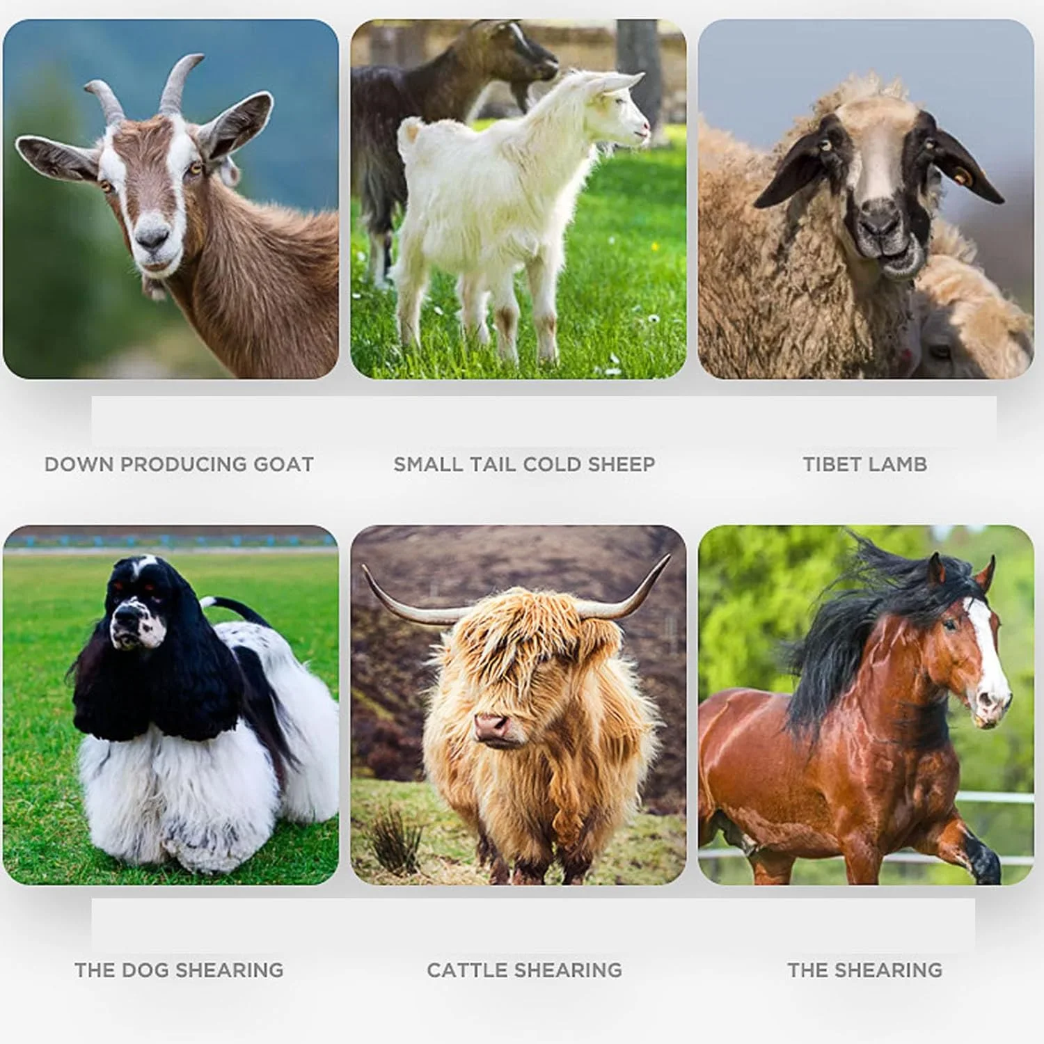 تیغه قیچی پشم چین Jiawu دندانه خمیده تیغه قیچی پشم چین Jiawu دندانه خمیده