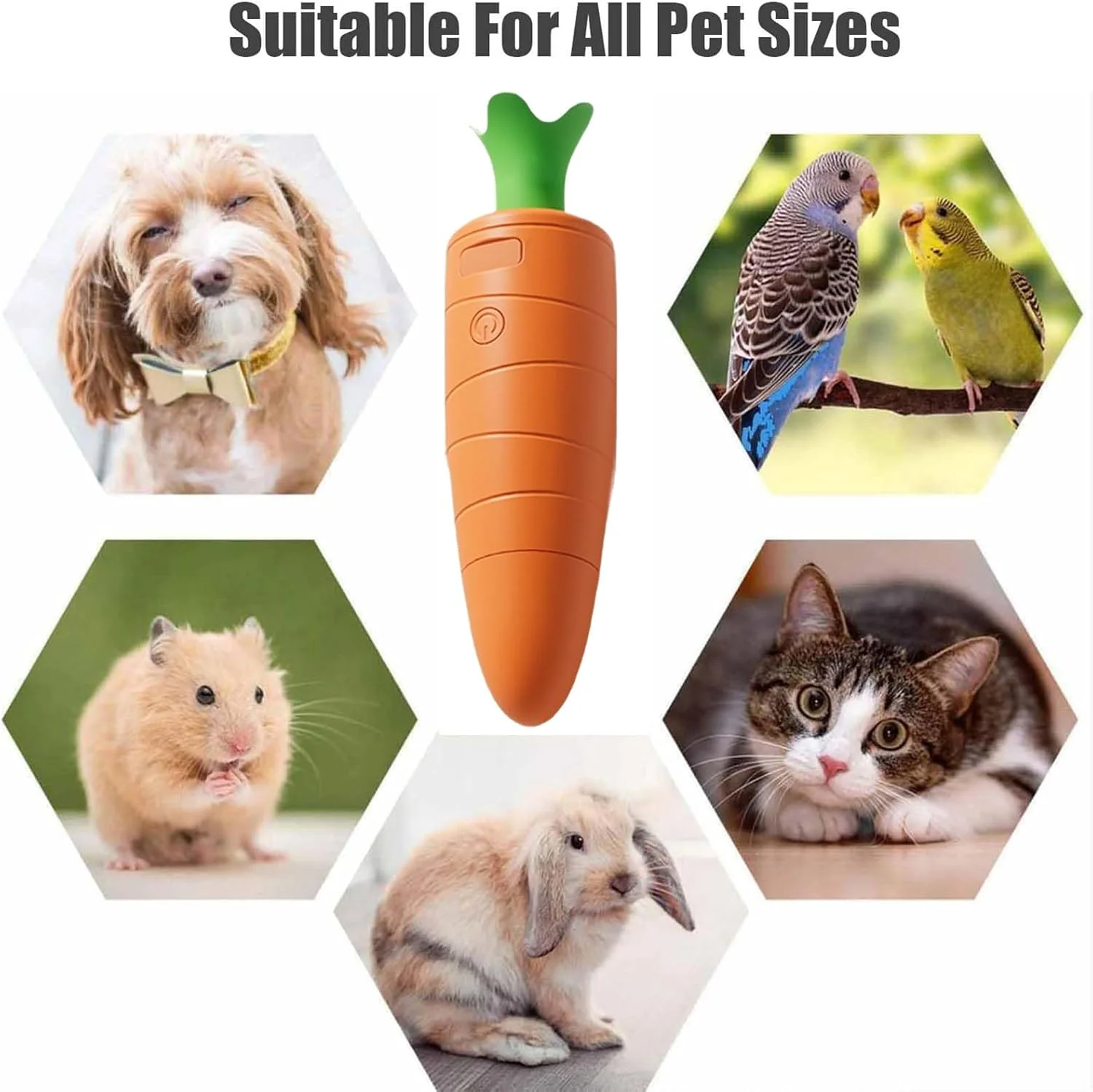 سوهان برقی ناخن حیوانات خانگی برای سگ ها - دارای دو سرعت | سوهان ناخن سگ | مناسب برای بچه گربه، توله سگ و حیوانات کوچک، قابل استفاده در خانه، حمام، پناهگاه و مسافرت سوهان برقی ناخن حیوانات خانگی برای سگ ها - دارای دو سرعت | سوهان ناخن سگ | مناسب برای بچه گربه، توله سگ و حیوانات کوچک، قابل استفاده در خانه، حمام، پناهگاه و مسافرت