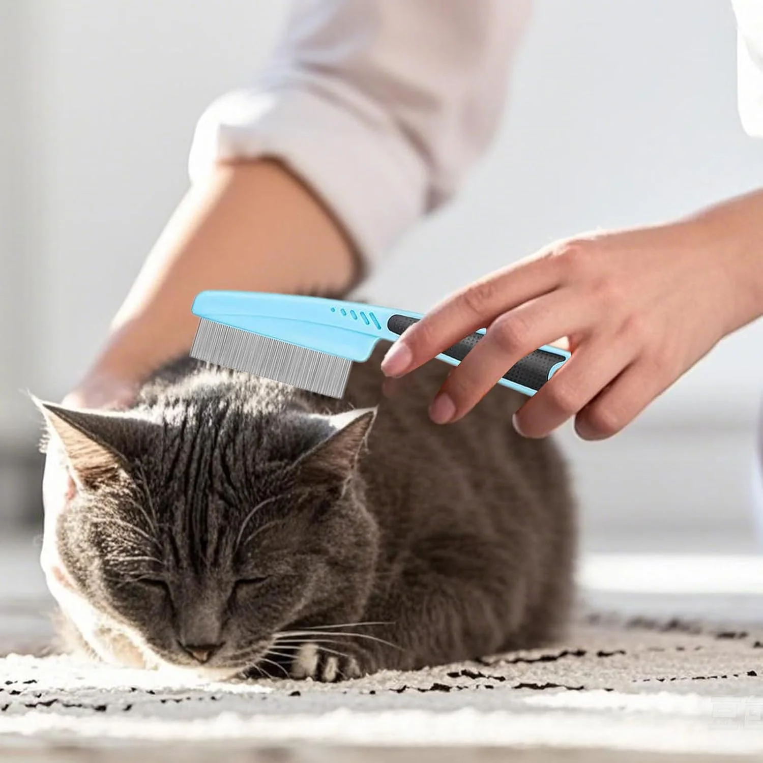 لوازم نظافت گربه | ابزار نظافت حرفه ای - برس سگ به همراه ناخن گیر و سوهان | برای تمیز کردن، حمام و شستشوی حیوانات خانگی، خرگوش، بچه گربه و توله سگ