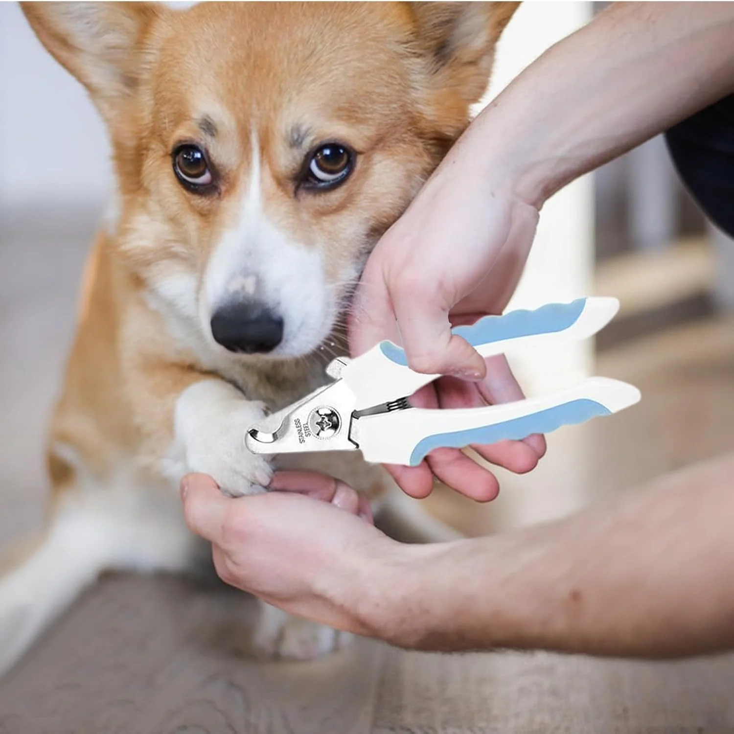 لوازم نظافت گربه | ابزار نظافت حرفه ای - برس سگ به همراه ناخن گیر و سوهان | برای تمیز کردن، حمام و شستشوی حیوانات خانگی، خرگوش، بچه گربه و توله سگ